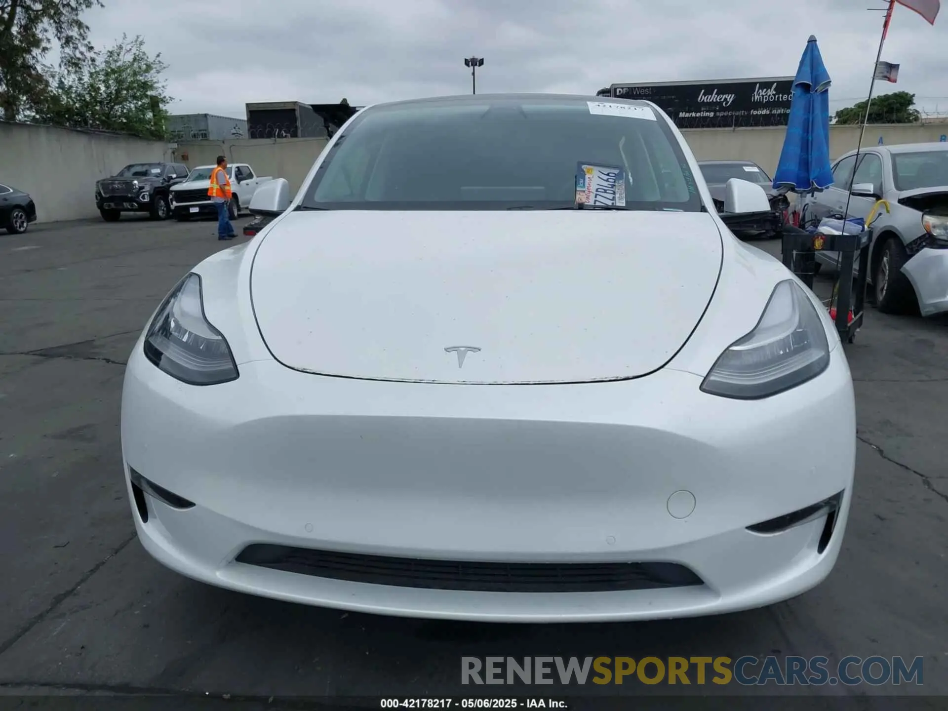 12 Photograph of a damaged car 7SAYGDEE1NF368676 TESLA MODEL Y 2022