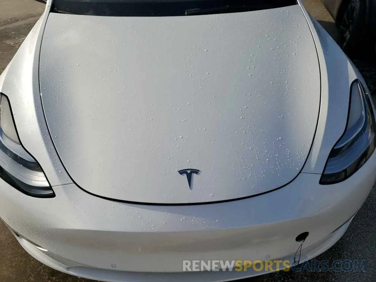12 Photograph of a damaged car 7SAYGDEE1NF368922 TESLA MODEL Y 2022