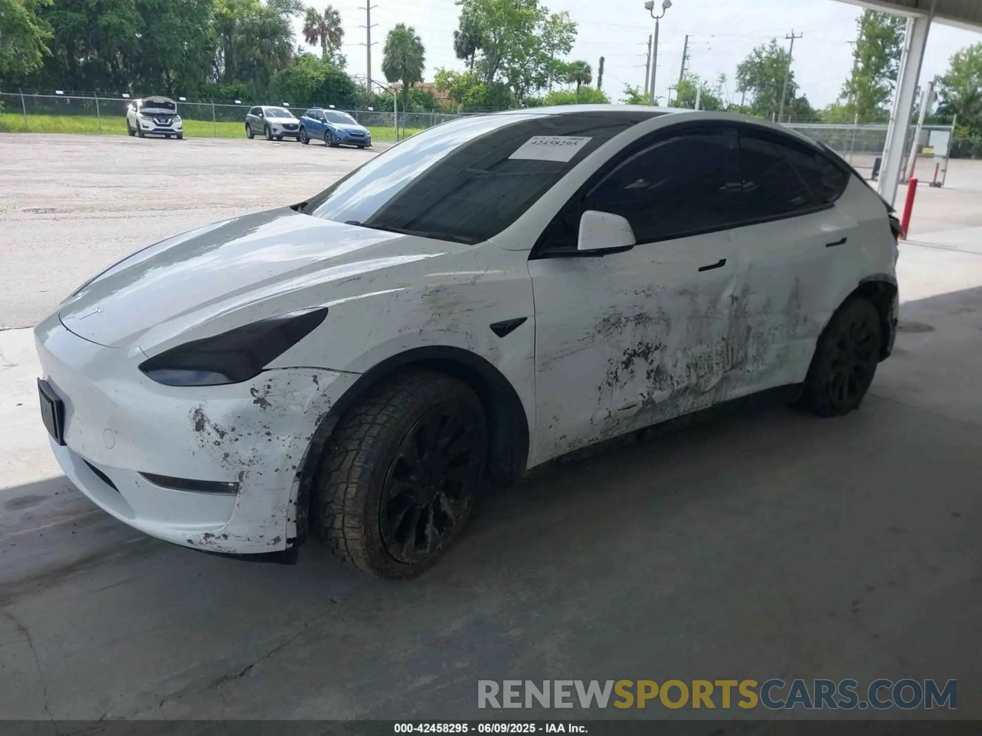 2 Photograph of a damaged car 7SAYGDEE1NF385915 TESLA MODEL Y 2022