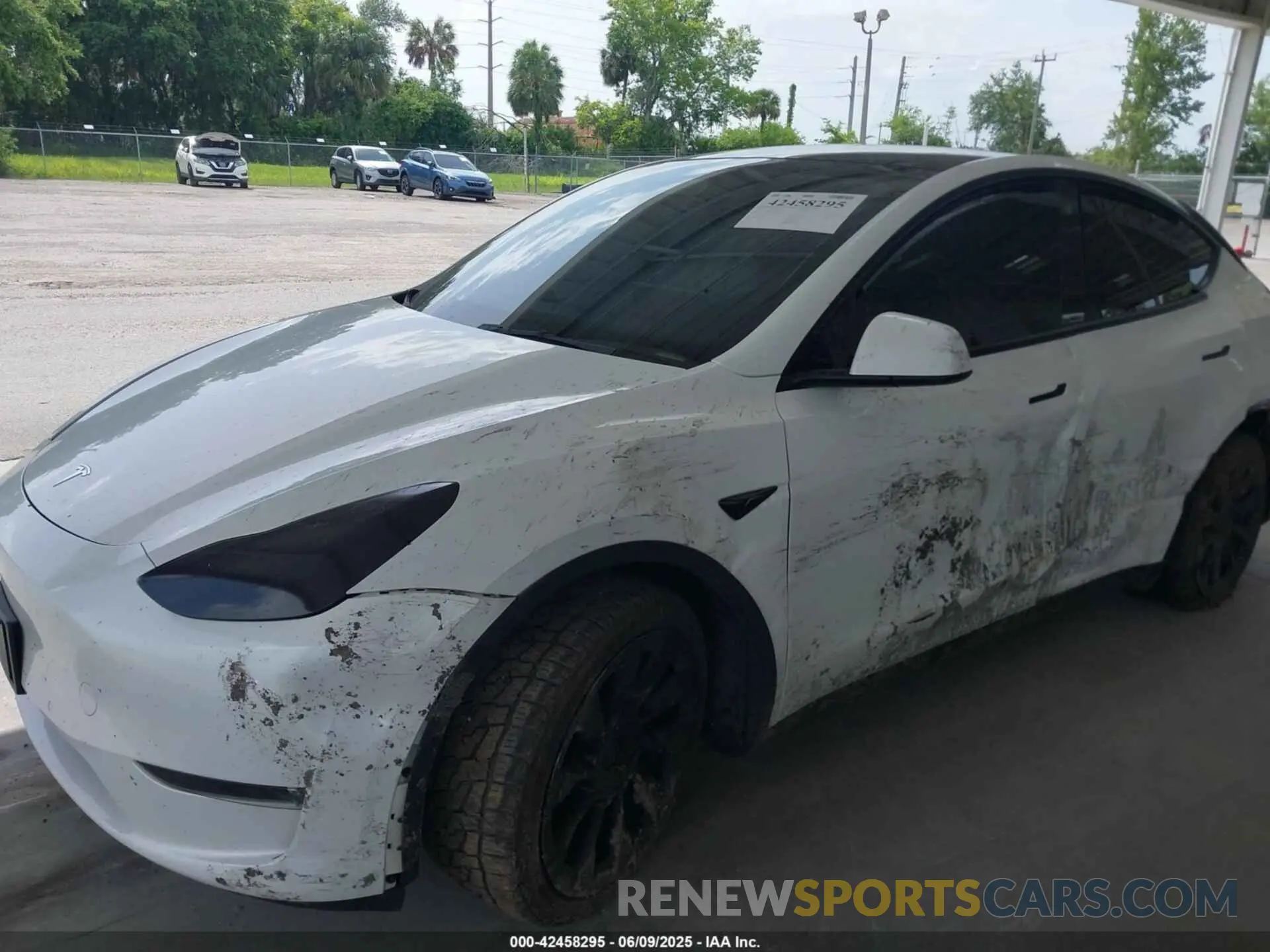 6 Photograph of a damaged car 7SAYGDEE1NF385915 TESLA MODEL Y 2022