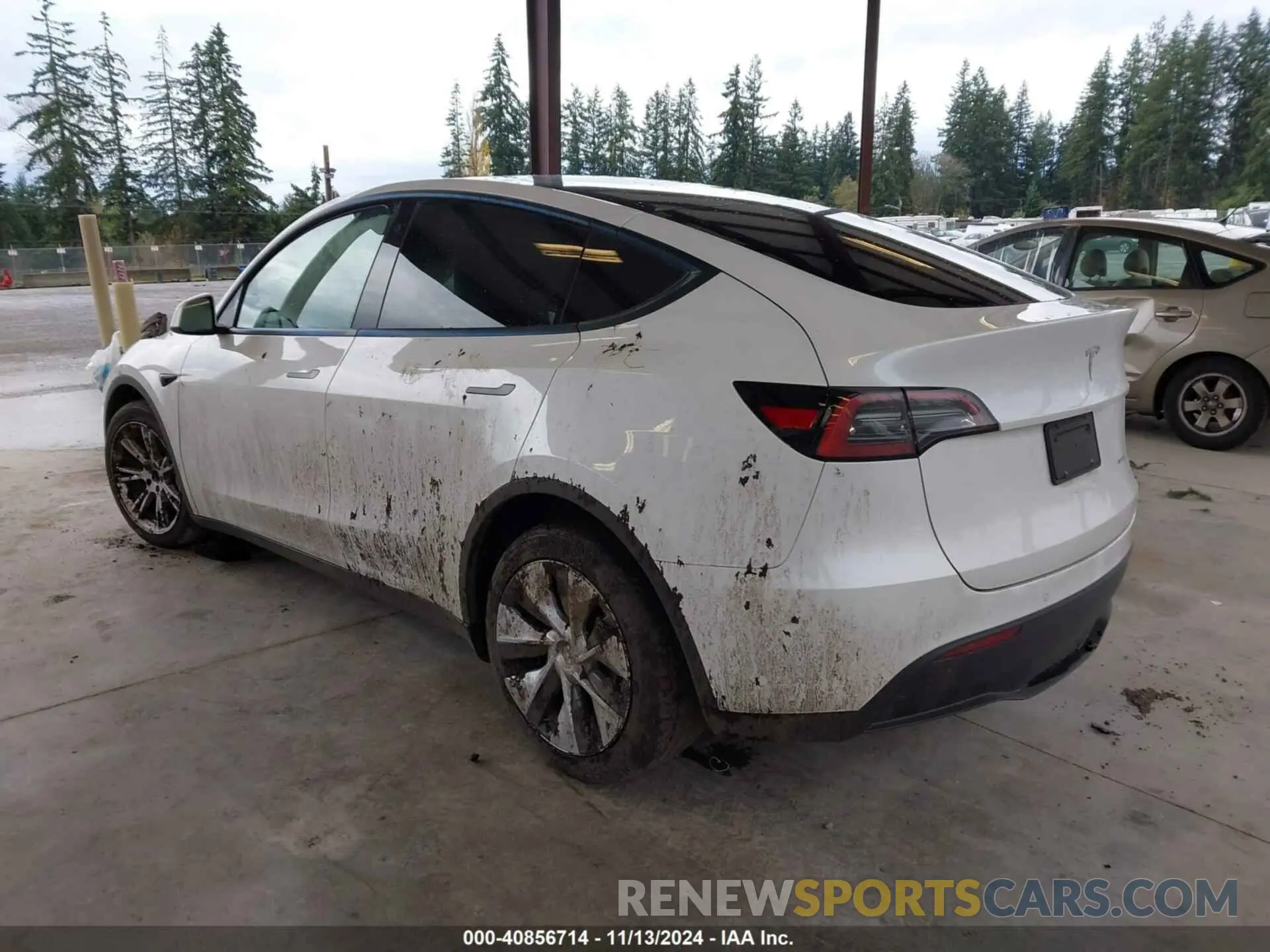 3 Photograph of a damaged car 7SAYGDEE1NF458703 TESLA MODEL Y 2022
