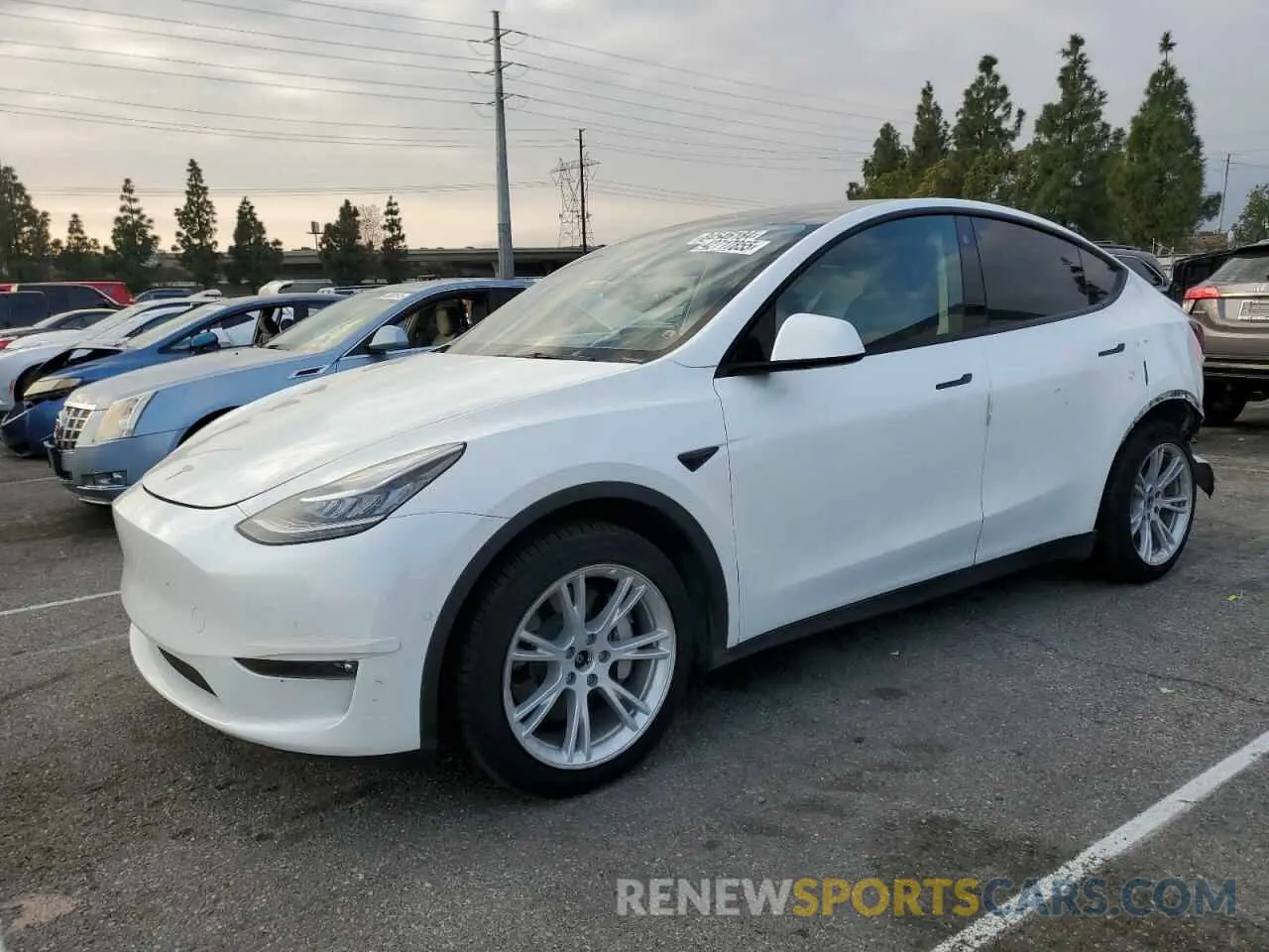1 Photograph of a damaged car 7SAYGDEE2NF459827 TESLA MODEL Y 2022