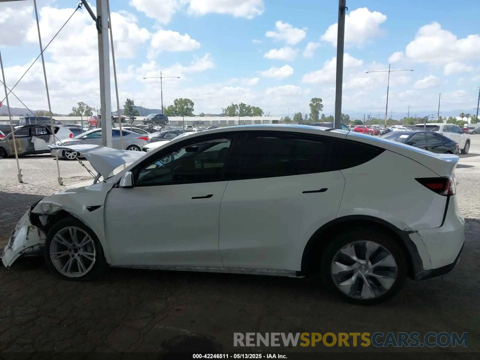 14 Photograph of a damaged car 7SAYGDEE2NF509769 TESLA MODEL Y 2022