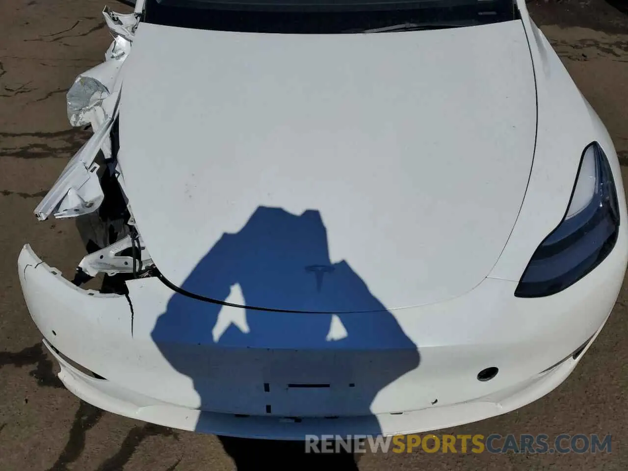 12 Photograph of a damaged car 7SAYGDEE3NA016633 TESLA MODEL Y 2022