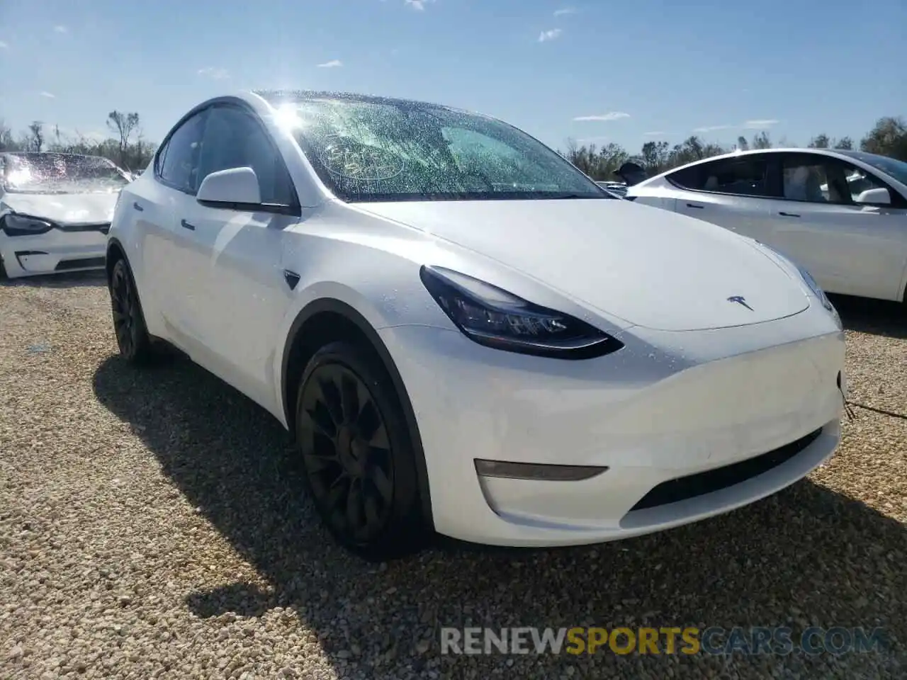 1 Photograph of a damaged car 7SAYGDEE3NF312299 TESLA MODEL Y 2022