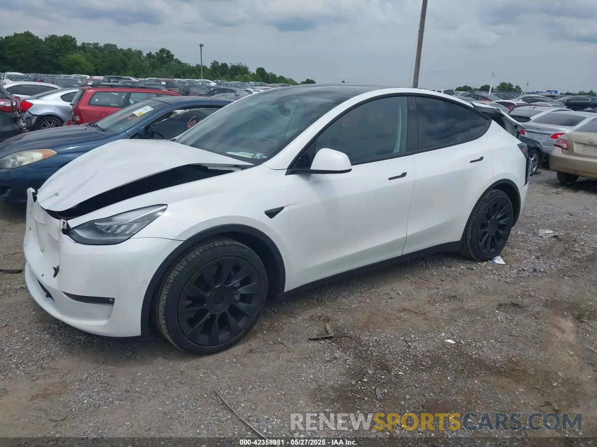 2 Photograph of a damaged car 7SAYGDEE3NF315963 TESLA MODEL Y 2022