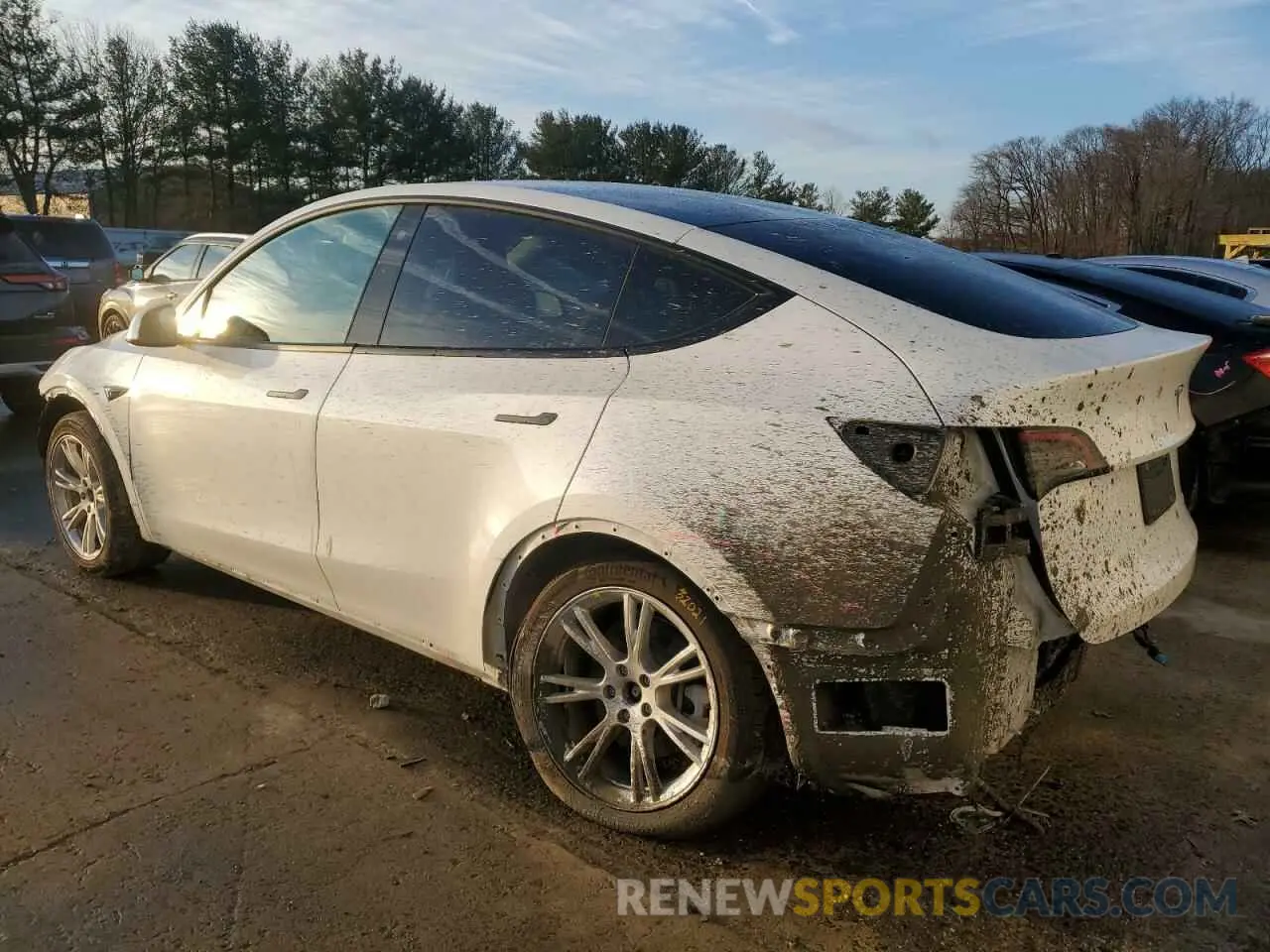 2 Photograph of a damaged car 7SAYGDEE3NF320161 TESLA MODEL Y 2022