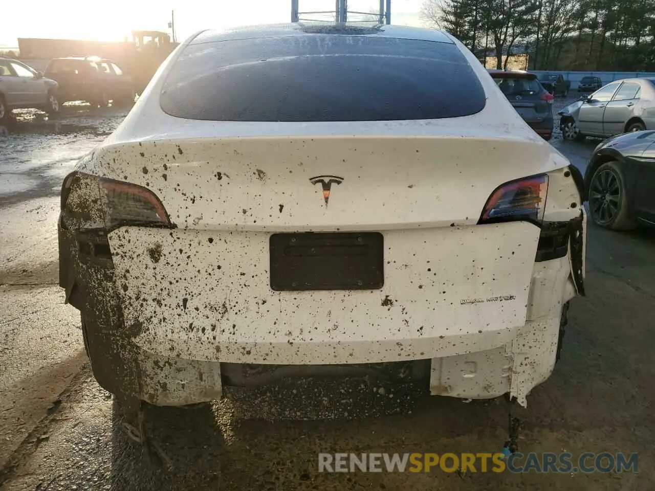 6 Photograph of a damaged car 7SAYGDEE3NF320161 TESLA MODEL Y 2022