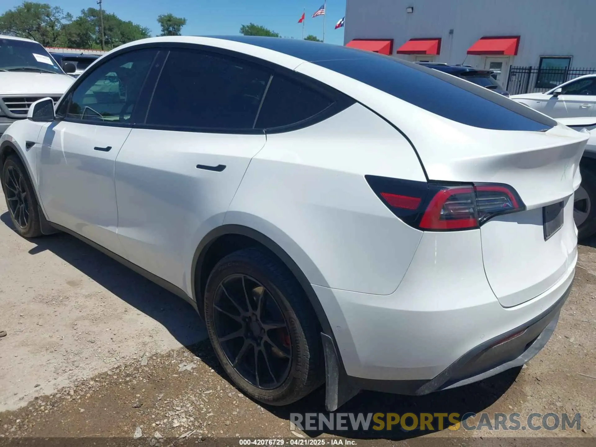 3 Photograph of a damaged car 7SAYGDEE3NF426481 TESLA MODEL Y 2022