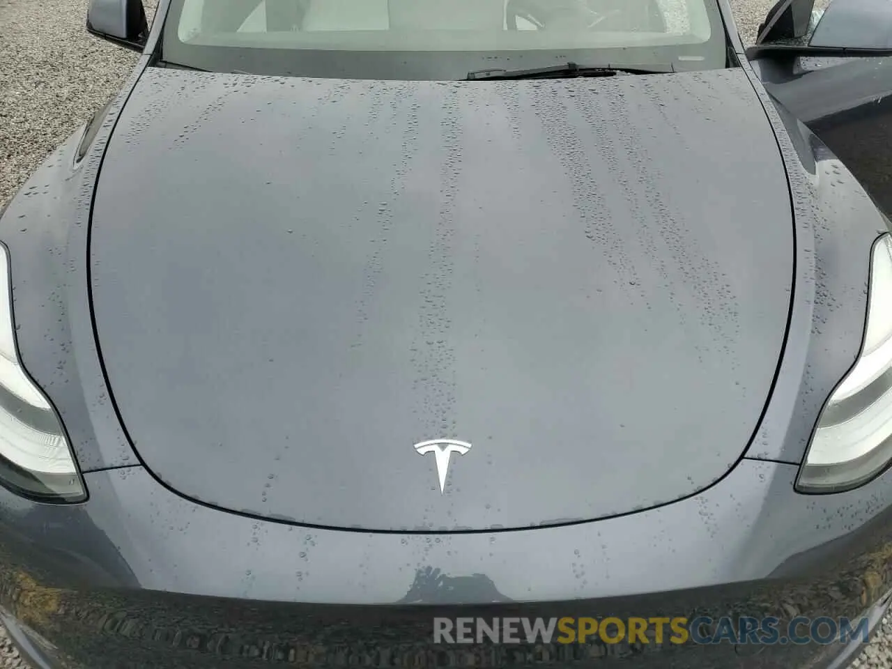 11 Photograph of a damaged car 7SAYGDEE4NF311825 TESLA MODEL Y 2022