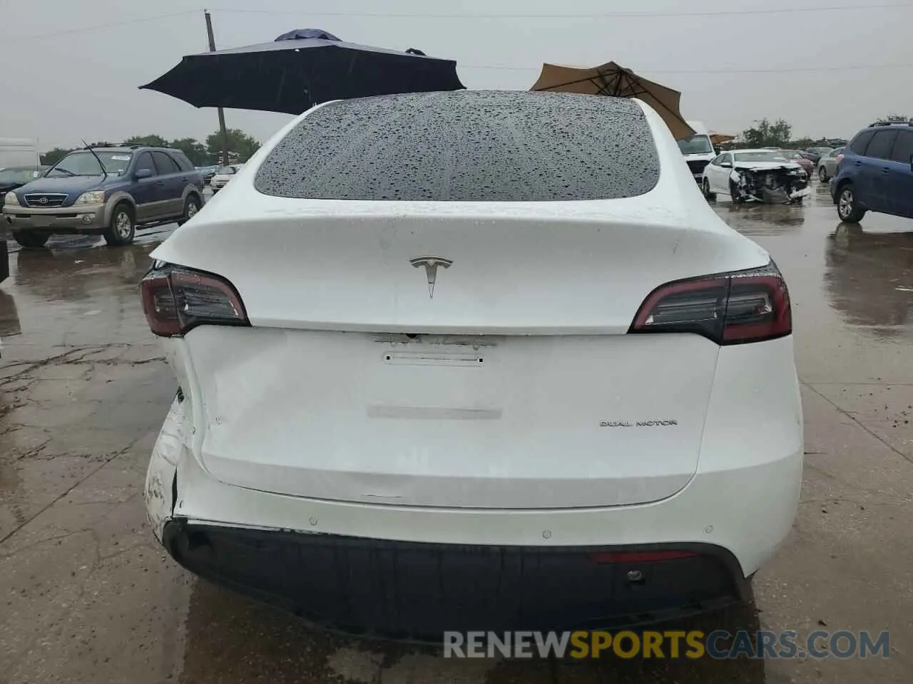 6 Photograph of a damaged car 7SAYGDEE4NF329743 TESLA MODEL Y 2022