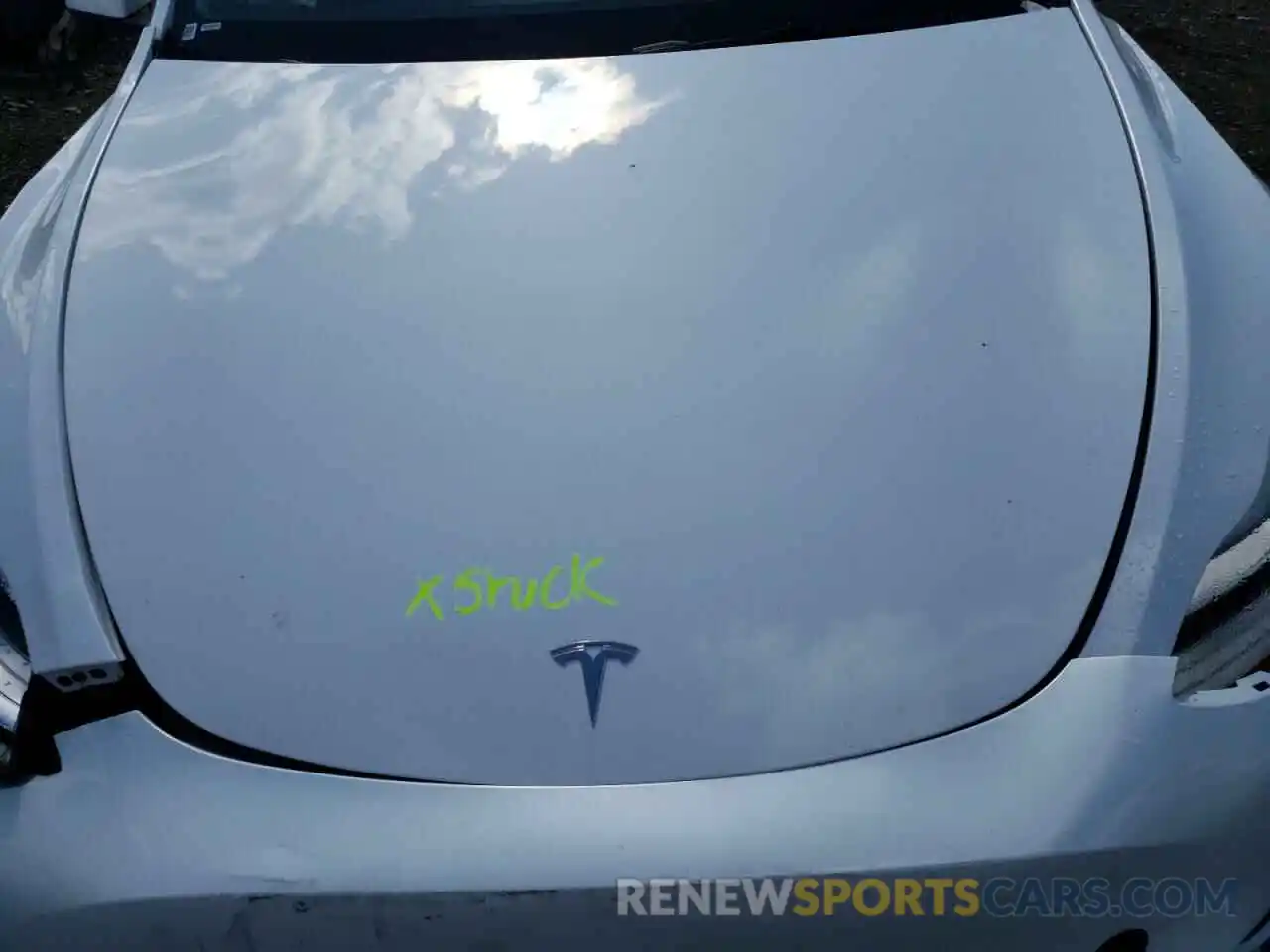 7 Photograph of a damaged car 7SAYGDEE4NF387464 TESLA MODEL Y 2022