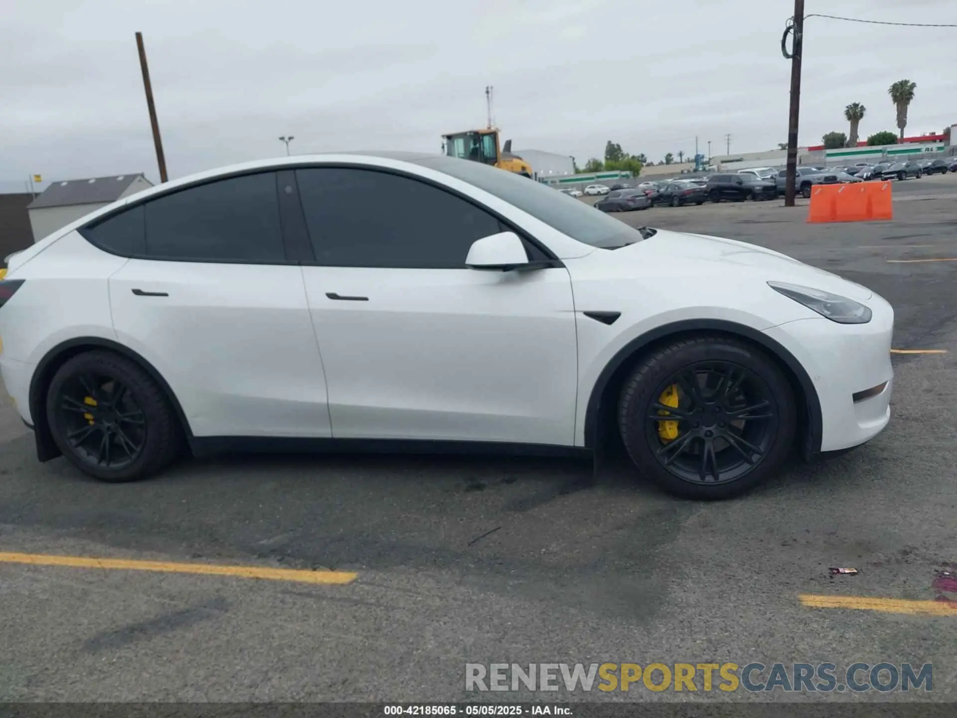 13 Photograph of a damaged car 7SAYGDEE4NF407891 TESLA MODEL Y 2022