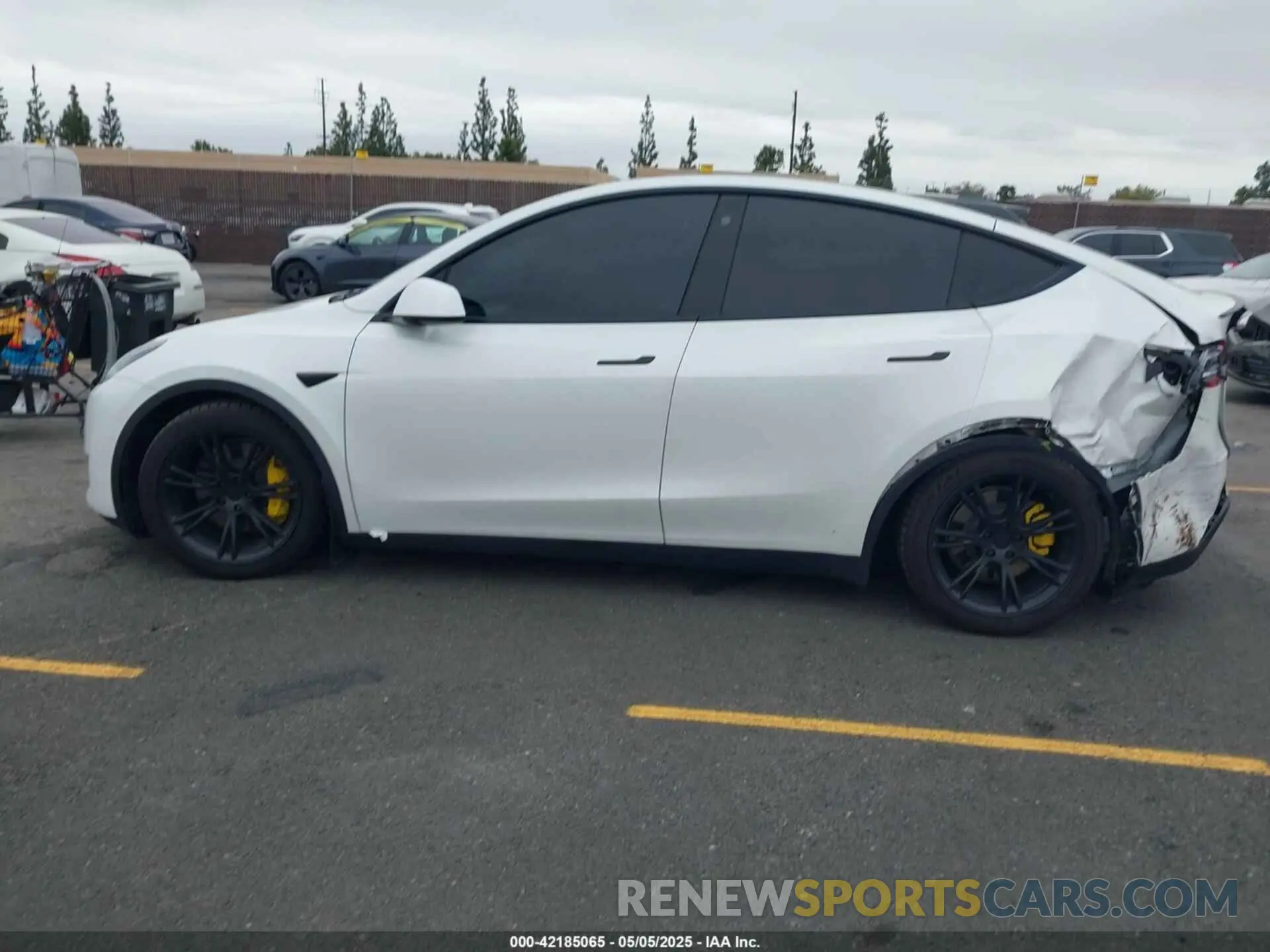 14 Photograph of a damaged car 7SAYGDEE4NF407891 TESLA MODEL Y 2022
