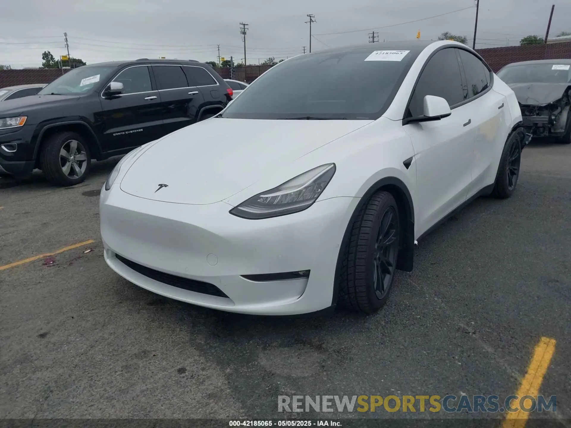 2 Photograph of a damaged car 7SAYGDEE4NF407891 TESLA MODEL Y 2022