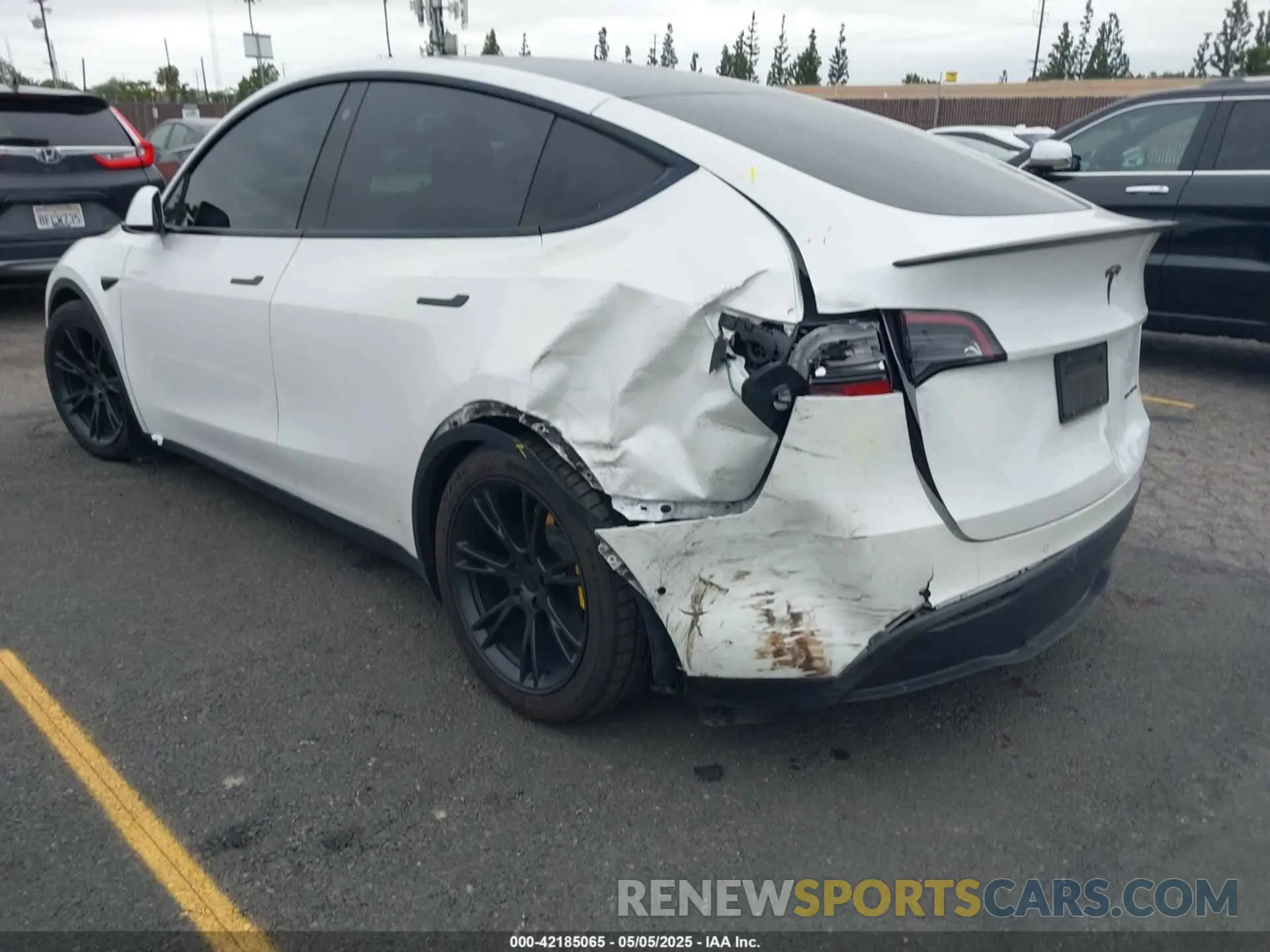 3 Photograph of a damaged car 7SAYGDEE4NF407891 TESLA MODEL Y 2022