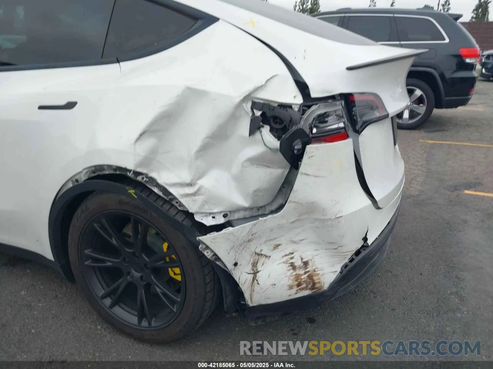 6 Photograph of a damaged car 7SAYGDEE4NF407891 TESLA MODEL Y 2022