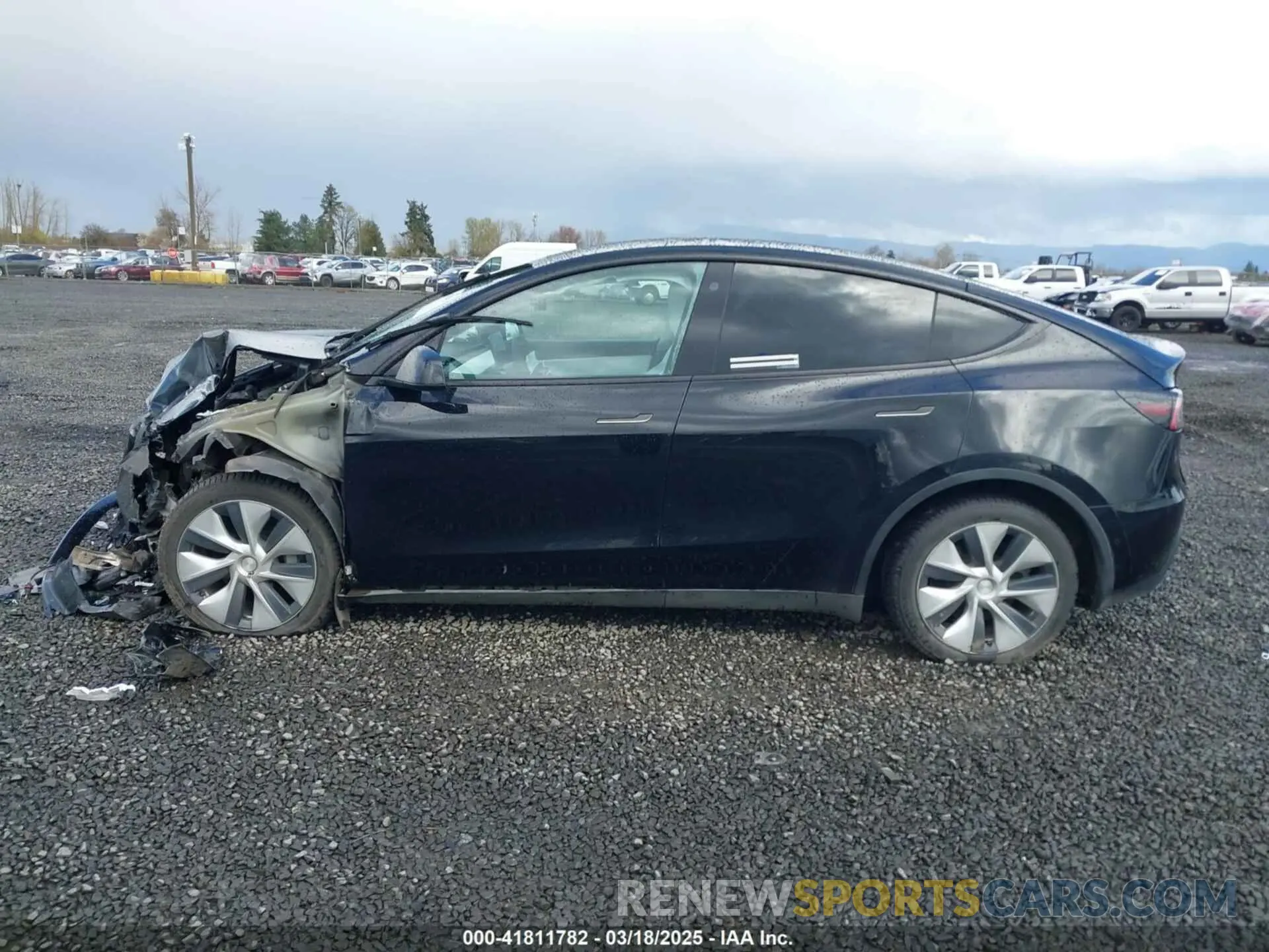 13 Photograph of a damaged car 7SAYGDEE4NF447985 TESLA MODEL Y 2022
