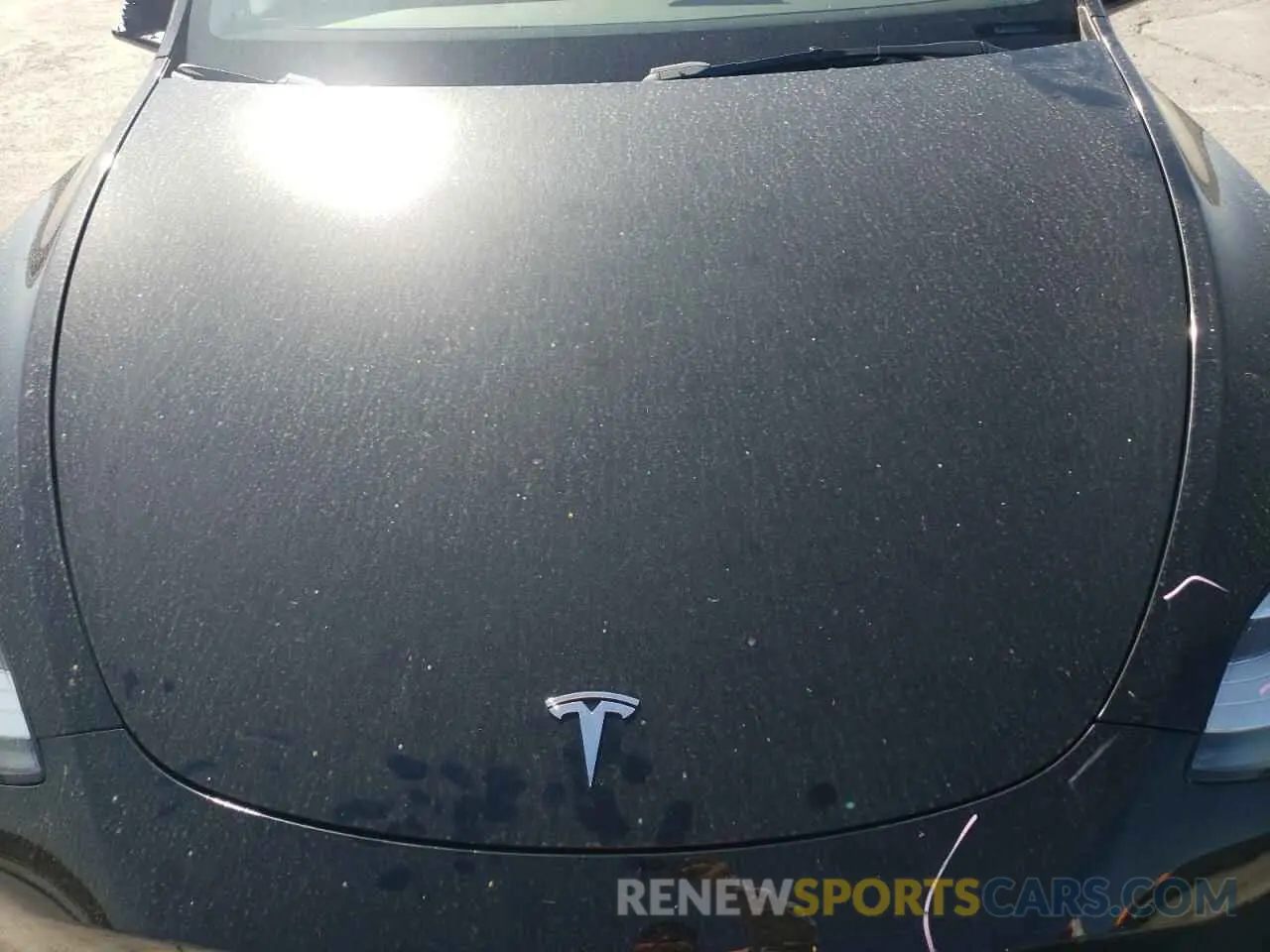 12 Photograph of a damaged car 7SAYGDEE4NF481120 TESLA MODEL Y 2022