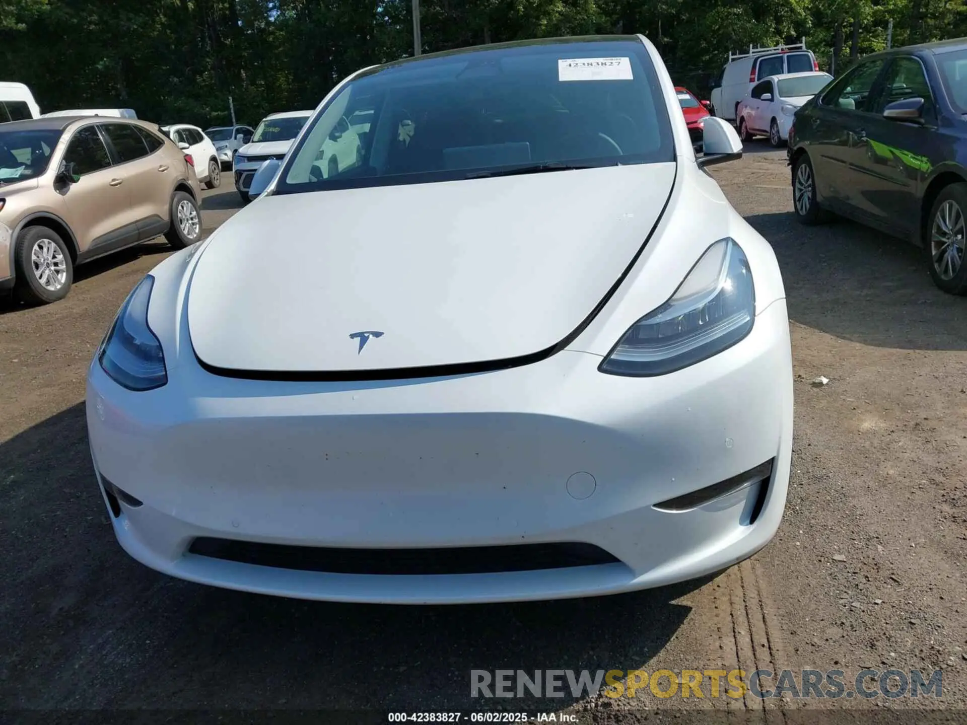 12 Photograph of a damaged car 7SAYGDEE5NF450877 TESLA MODEL Y 2022