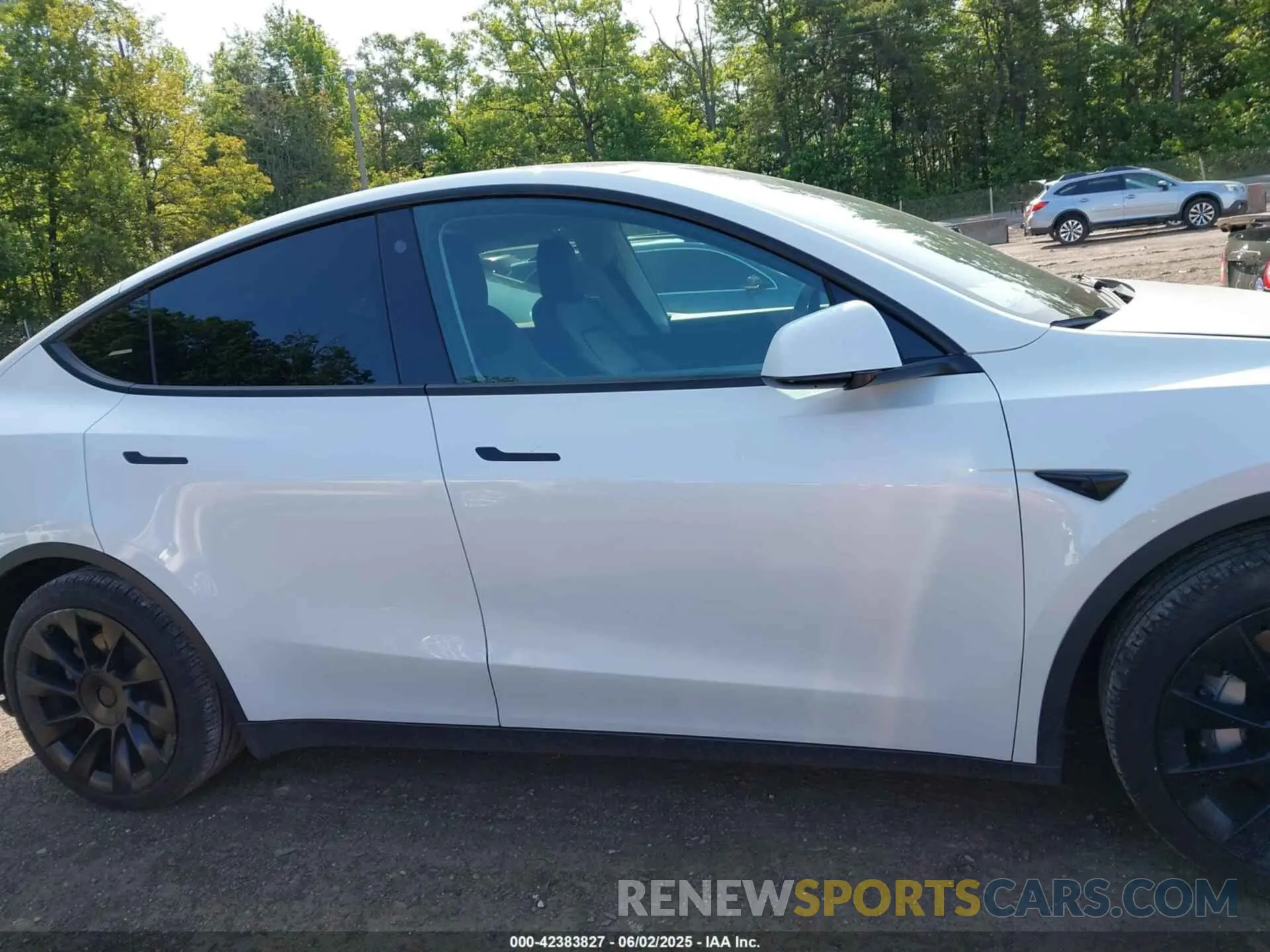 13 Photograph of a damaged car 7SAYGDEE5NF450877 TESLA MODEL Y 2022