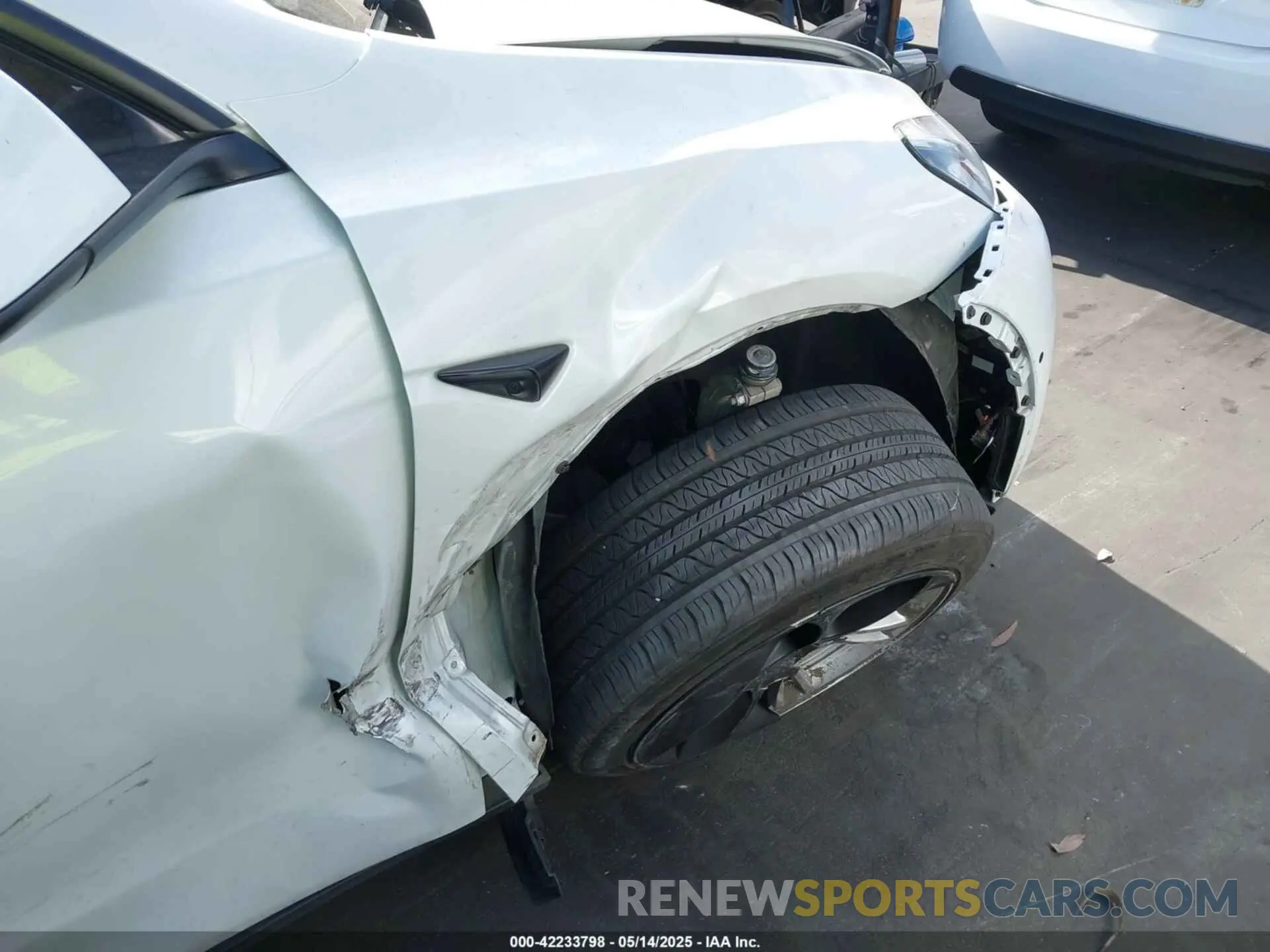 12 Photograph of a damaged car 7SAYGDEE5NF504369 TESLA MODEL Y 2022