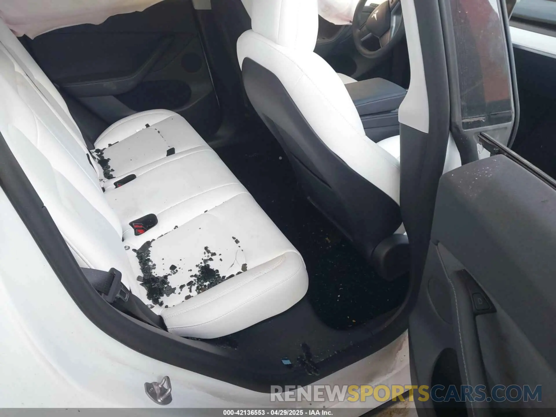 8 Photograph of a damaged car 7SAYGDEE5NF516604 TESLA MODEL Y 2022