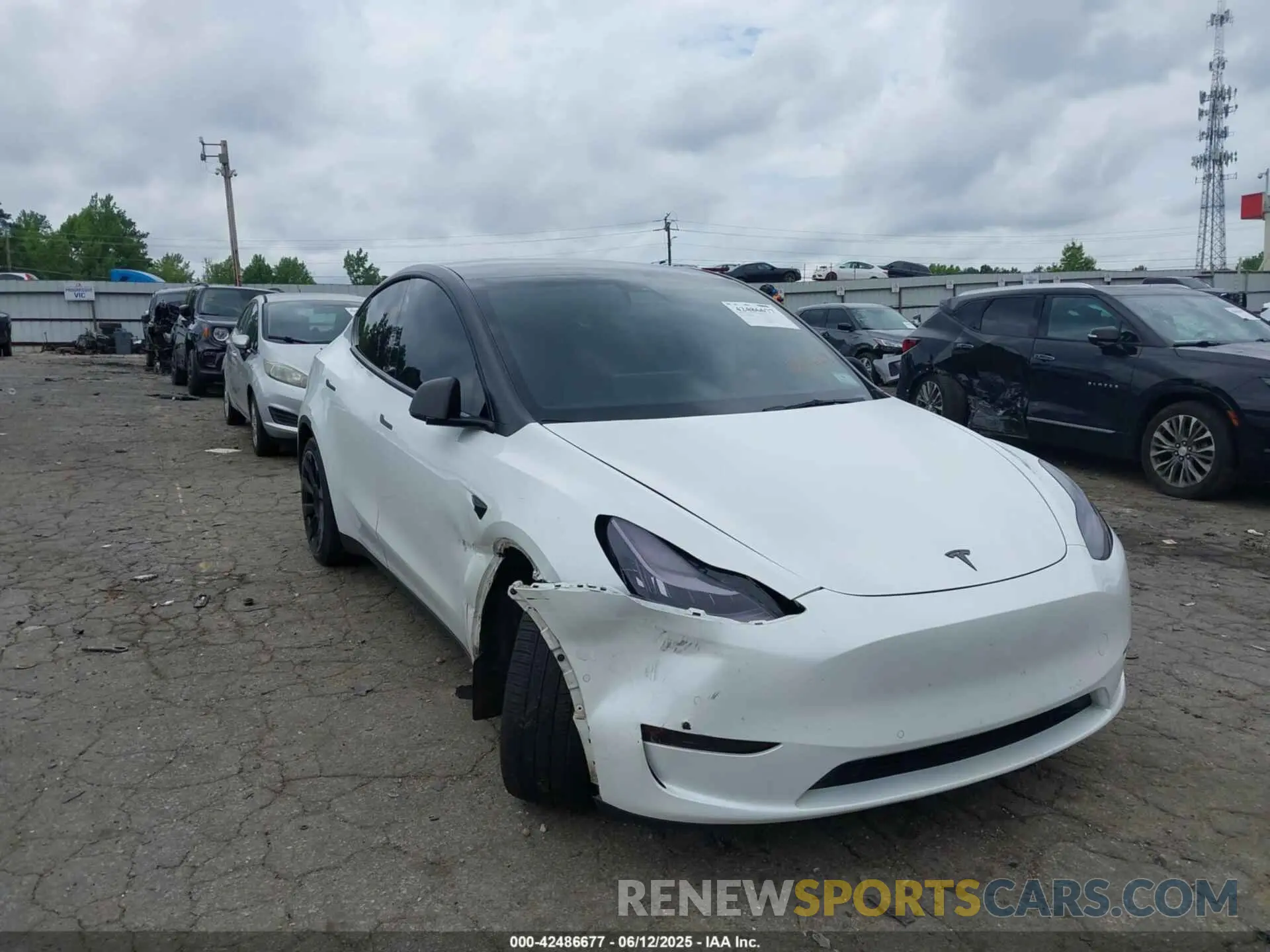 1 Photograph of a damaged car 7SAYGDEE6NF364669 TESLA MODEL Y 2022