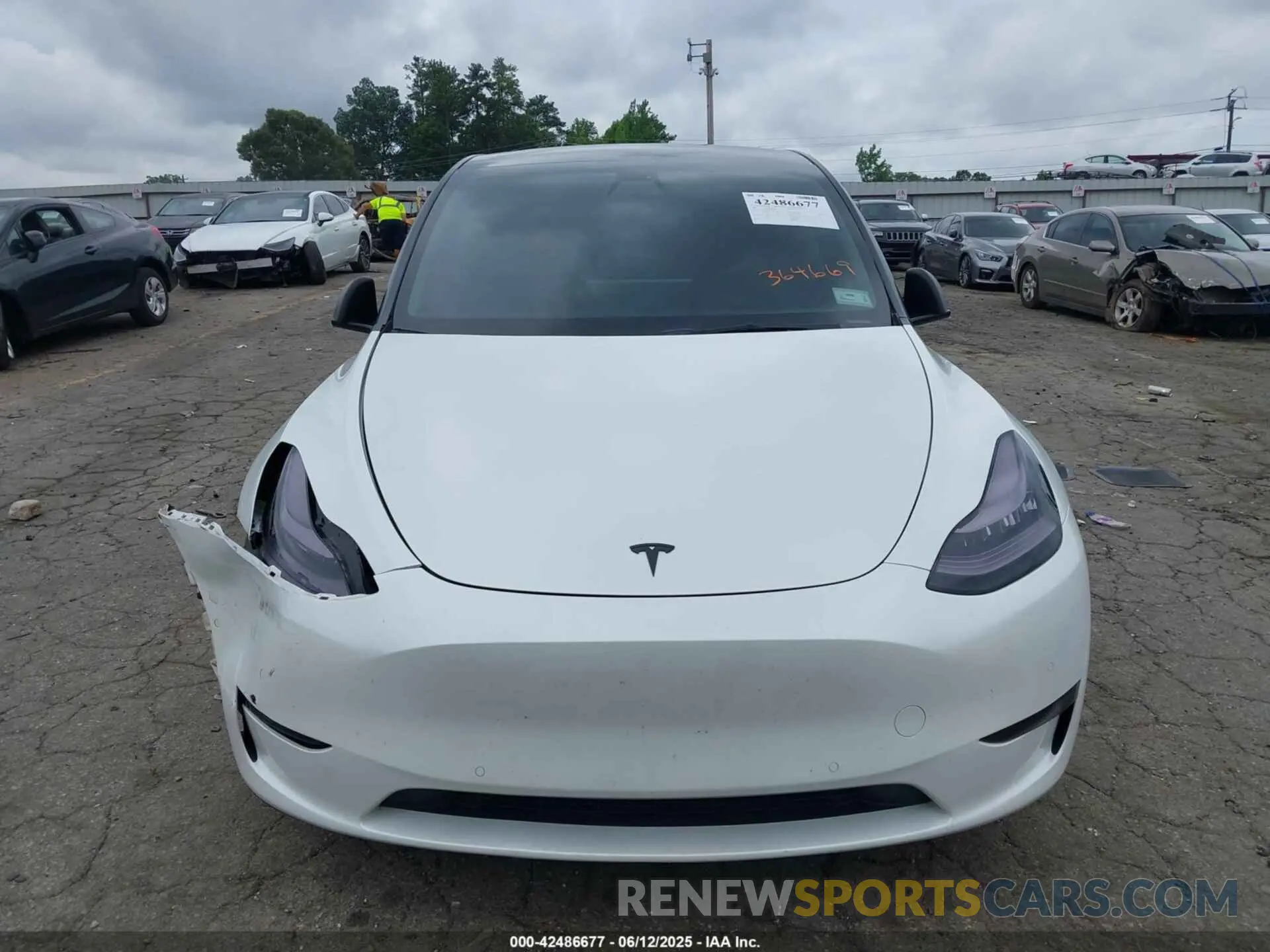 11 Photograph of a damaged car 7SAYGDEE6NF364669 TESLA MODEL Y 2022