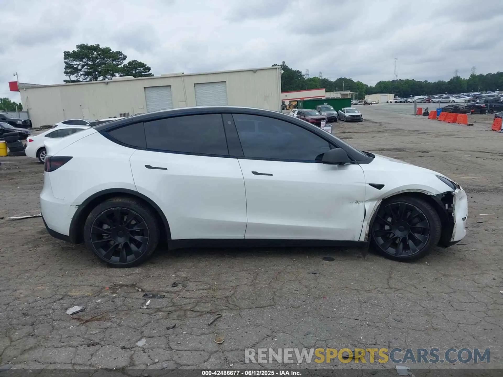 12 Photograph of a damaged car 7SAYGDEE6NF364669 TESLA MODEL Y 2022