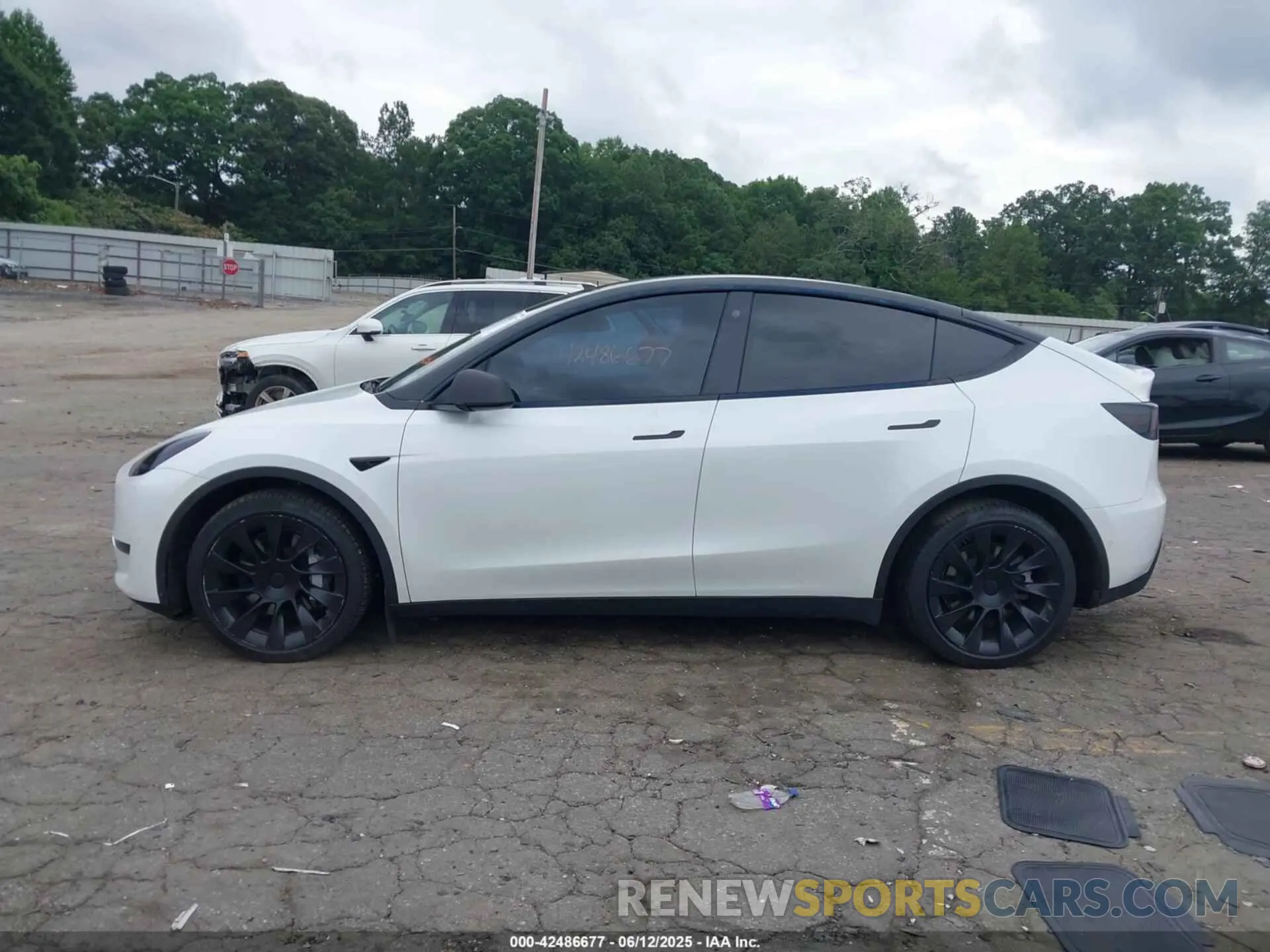 13 Photograph of a damaged car 7SAYGDEE6NF364669 TESLA MODEL Y 2022