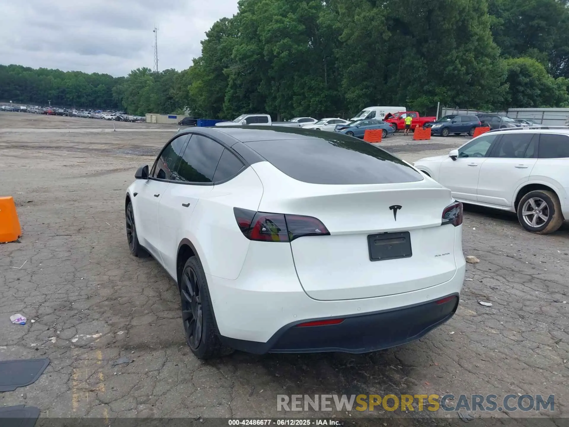 3 Photograph of a damaged car 7SAYGDEE6NF364669 TESLA MODEL Y 2022