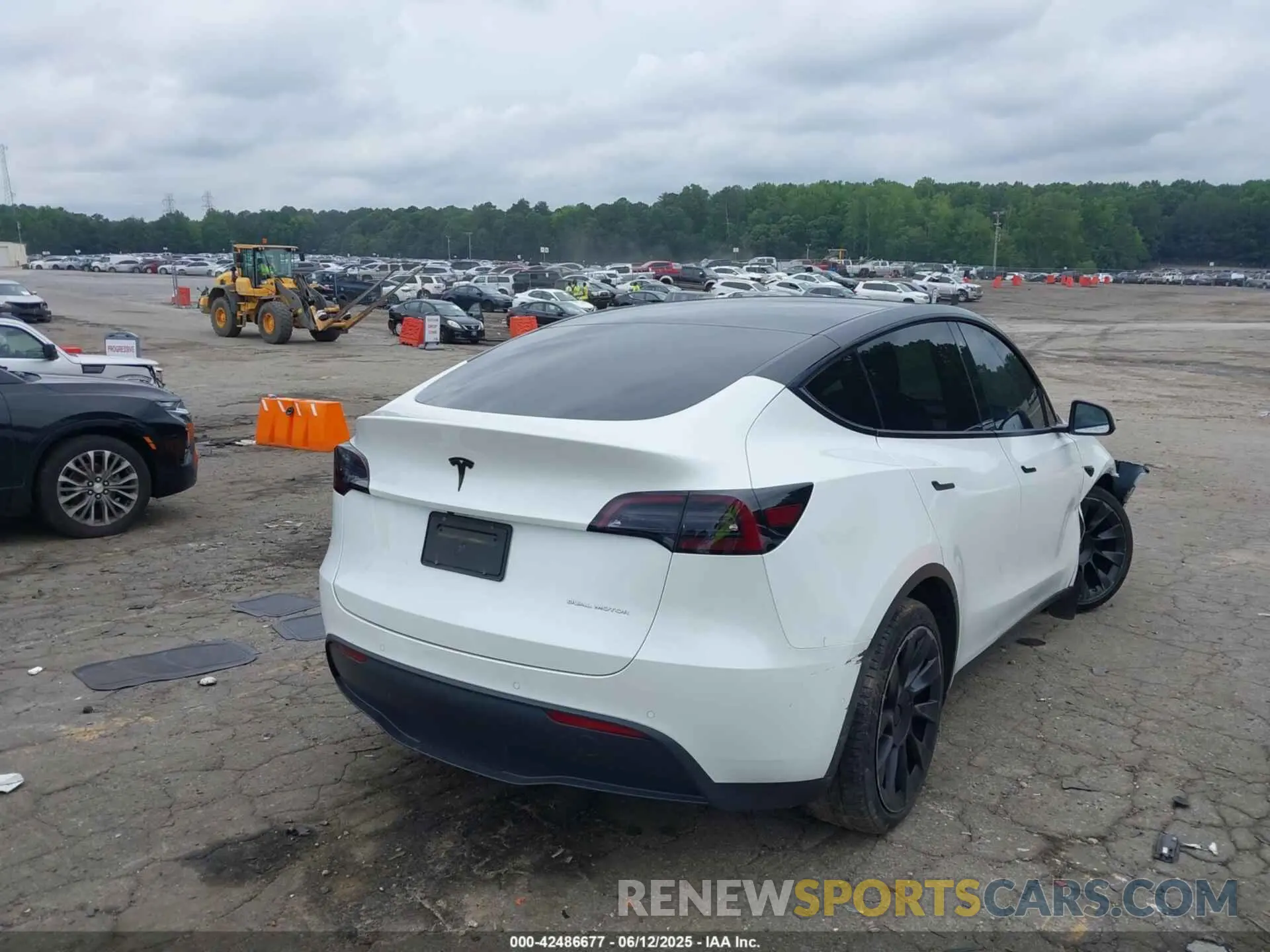4 Photograph of a damaged car 7SAYGDEE6NF364669 TESLA MODEL Y 2022