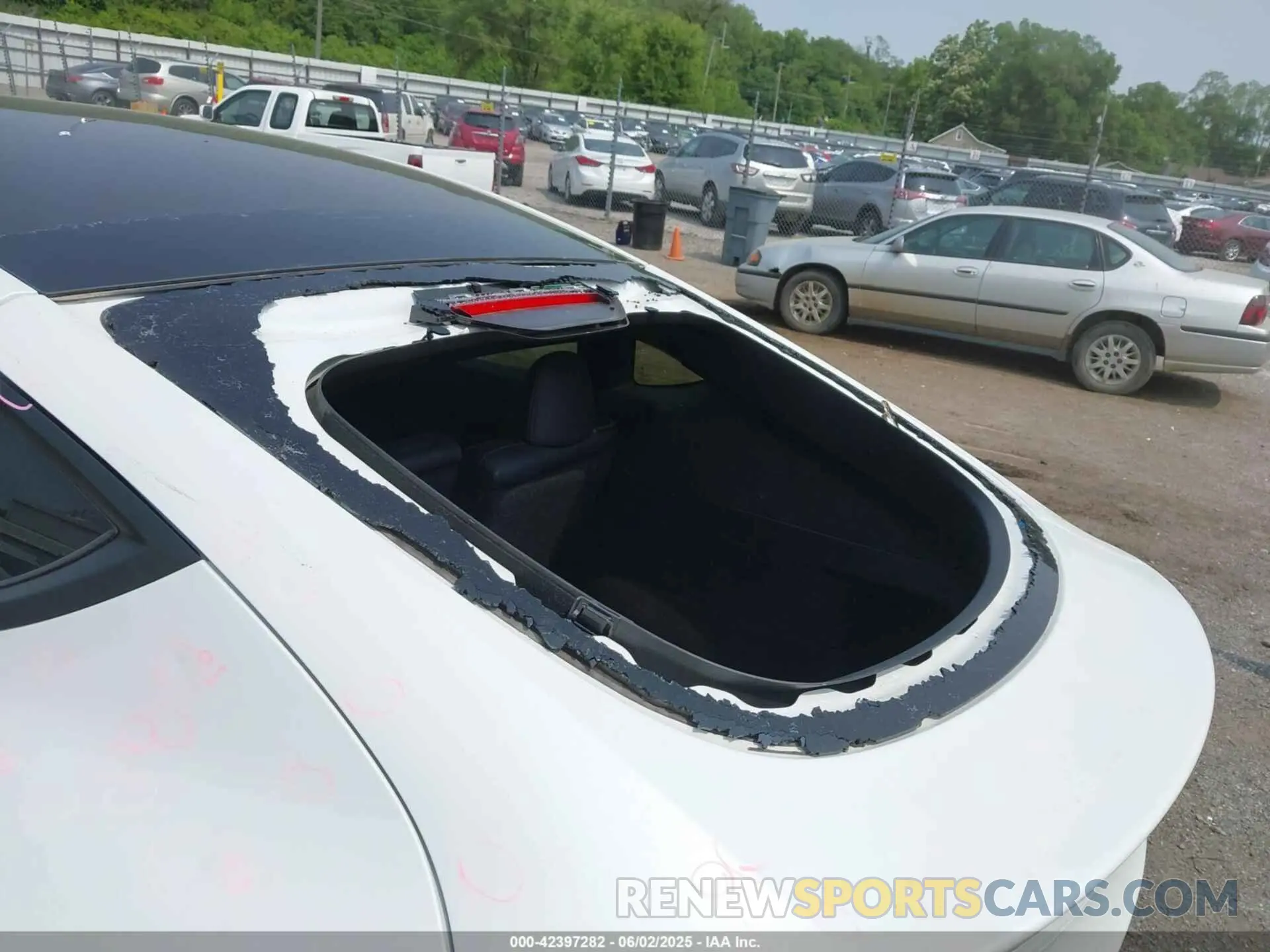6 Photograph of a damaged car 7SAYGDEE6NF400487 TESLA MODEL Y 2022