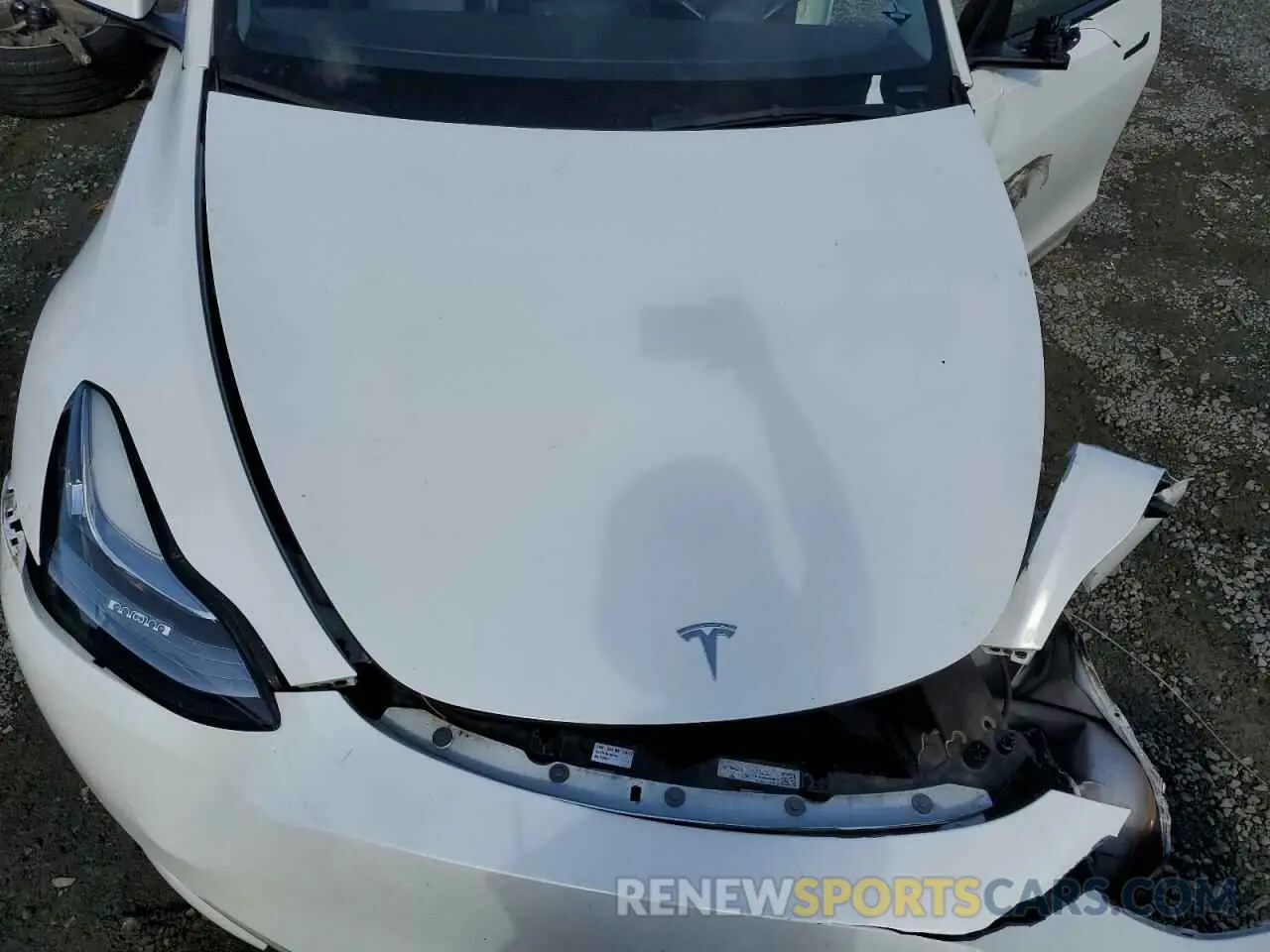 11 Photograph of a damaged car 7SAYGDEE6NF408976 TESLA MODEL Y 2022