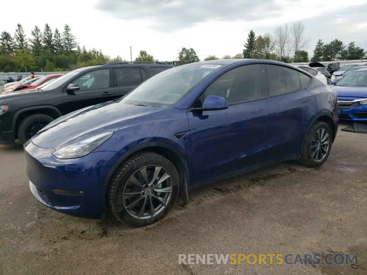 1 Photograph of a damaged car 7SAYGDEE6NF550034 TESLA MODEL Y 2022