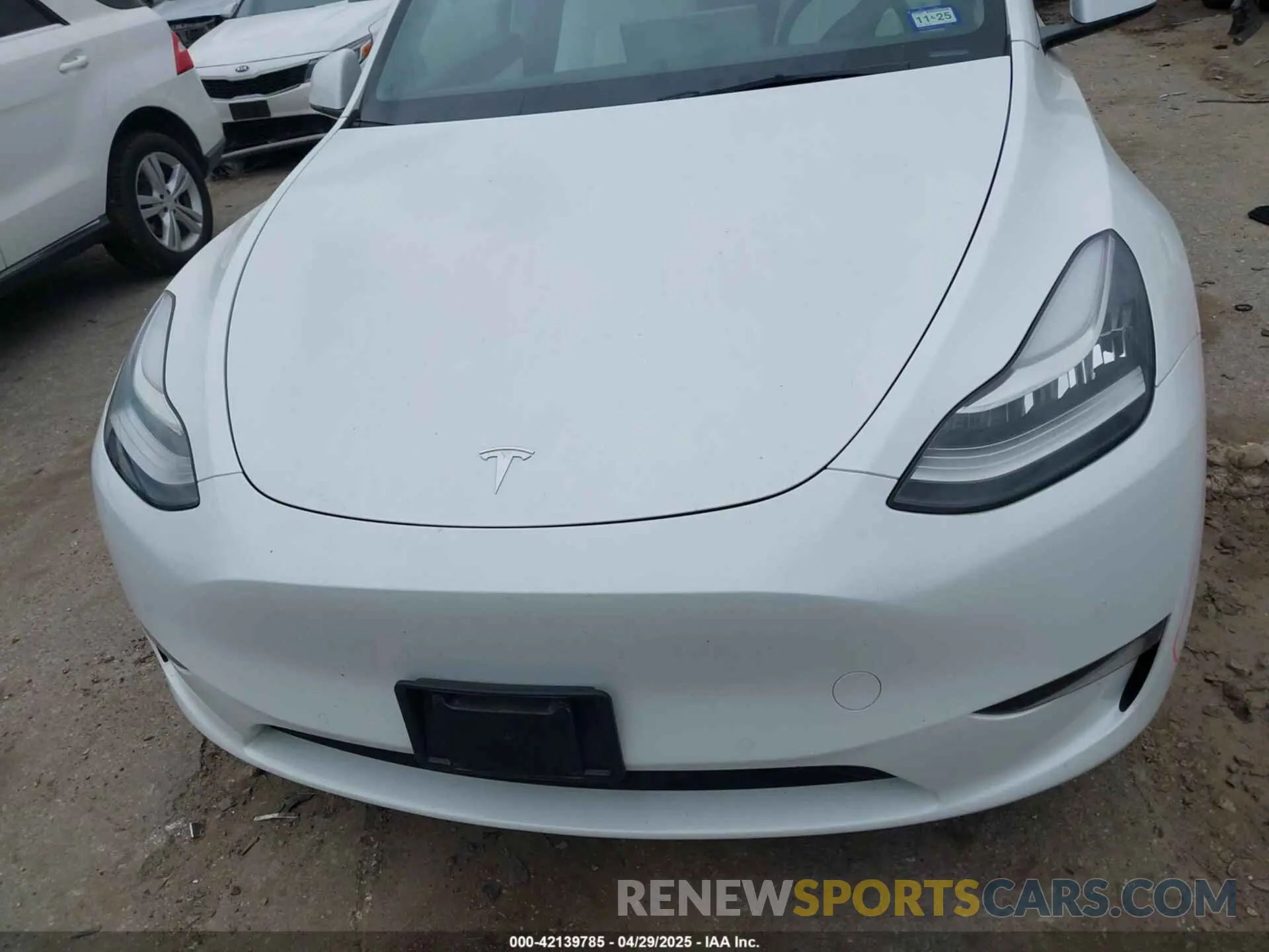 11 Photograph of a damaged car 7SAYGDEE7NF310555 TESLA MODEL Y 2022