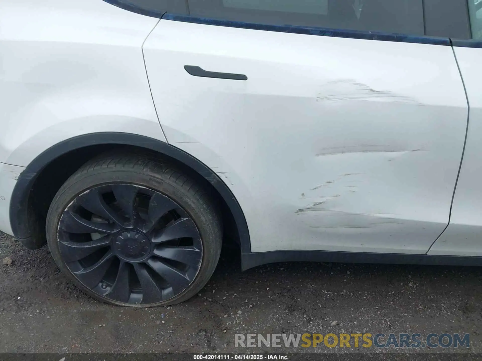 19 Photograph of a damaged car 7SAYGDEE7NF389788 TESLA MODEL Y 2022