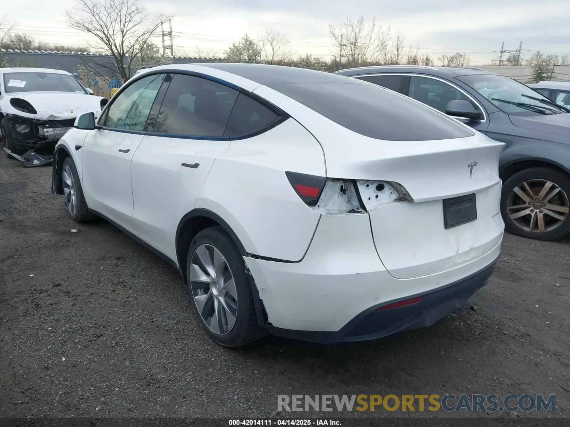 3 Photograph of a damaged car 7SAYGDEE7NF389788 TESLA MODEL Y 2022