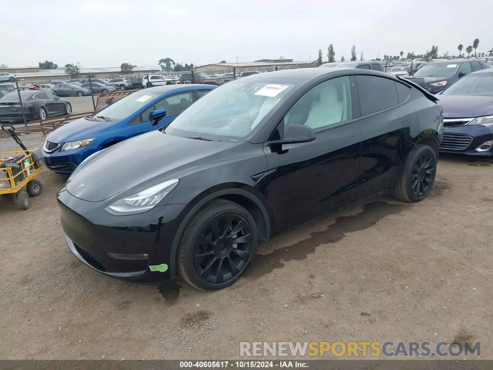 2 Photograph of a damaged car 7SAYGDEE8NF513339 TESLA MODEL Y 2022