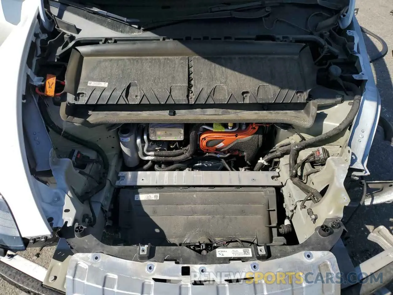 13 Photograph of a damaged car 7SAYGDEE8NF551850 TESLA MODEL Y 2022