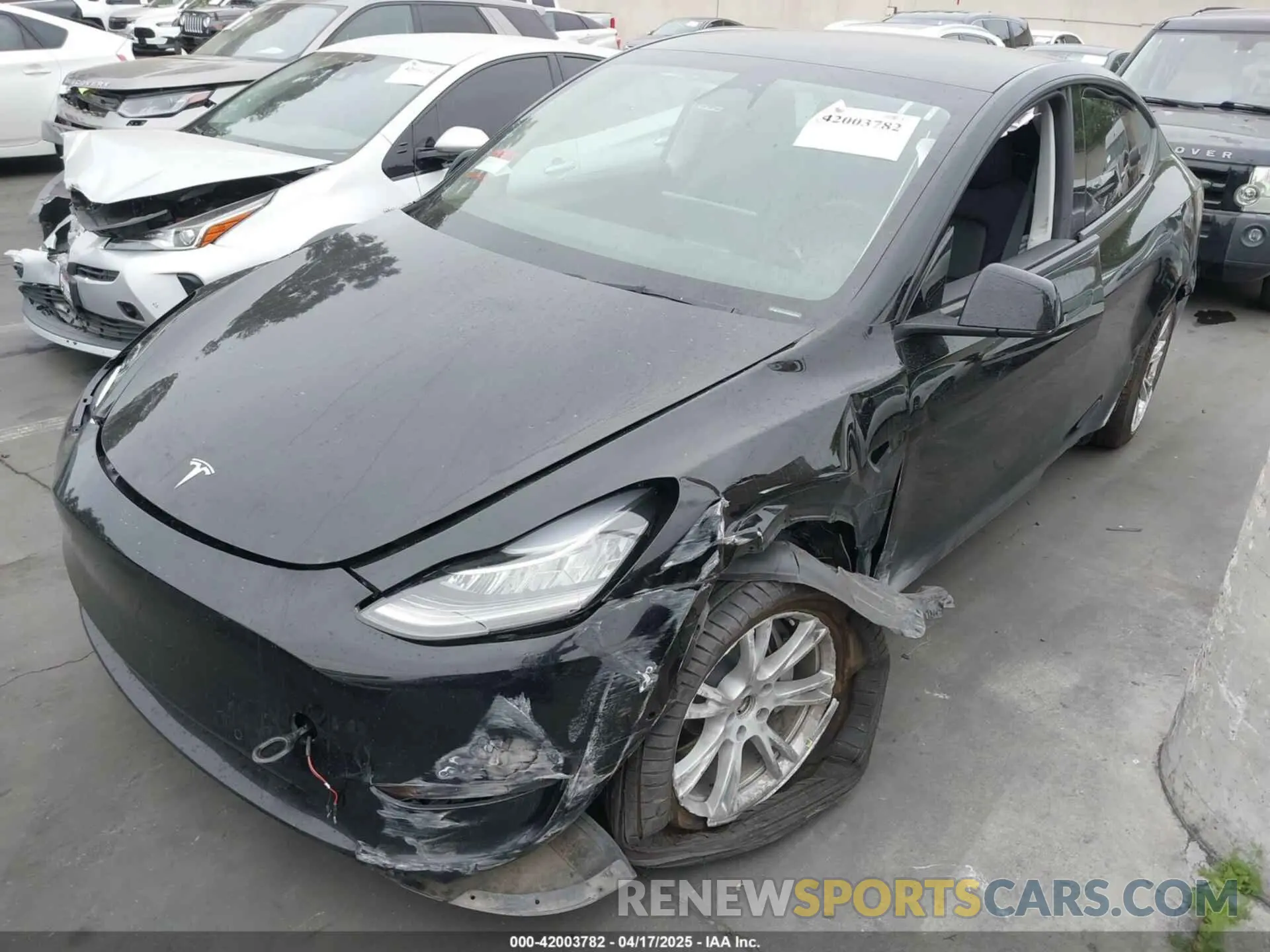2 Photograph of a damaged car 7SAYGDEE9NA022842 TESLA MODEL Y 2022