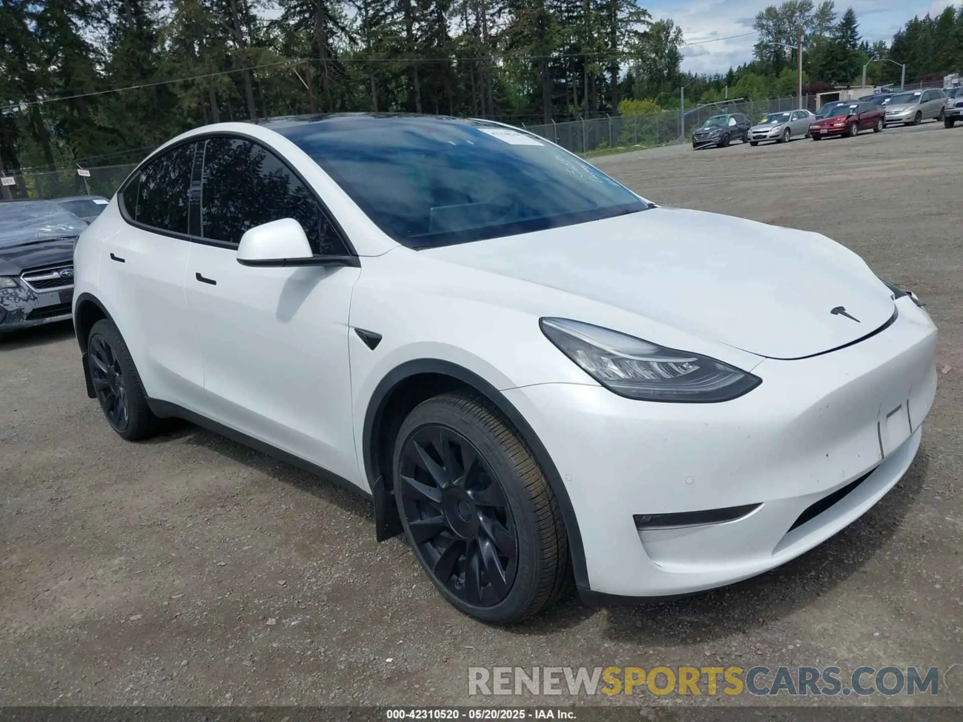 1 Photograph of a damaged car 7SAYGDEE9NF494901 TESLA MODEL Y 2022