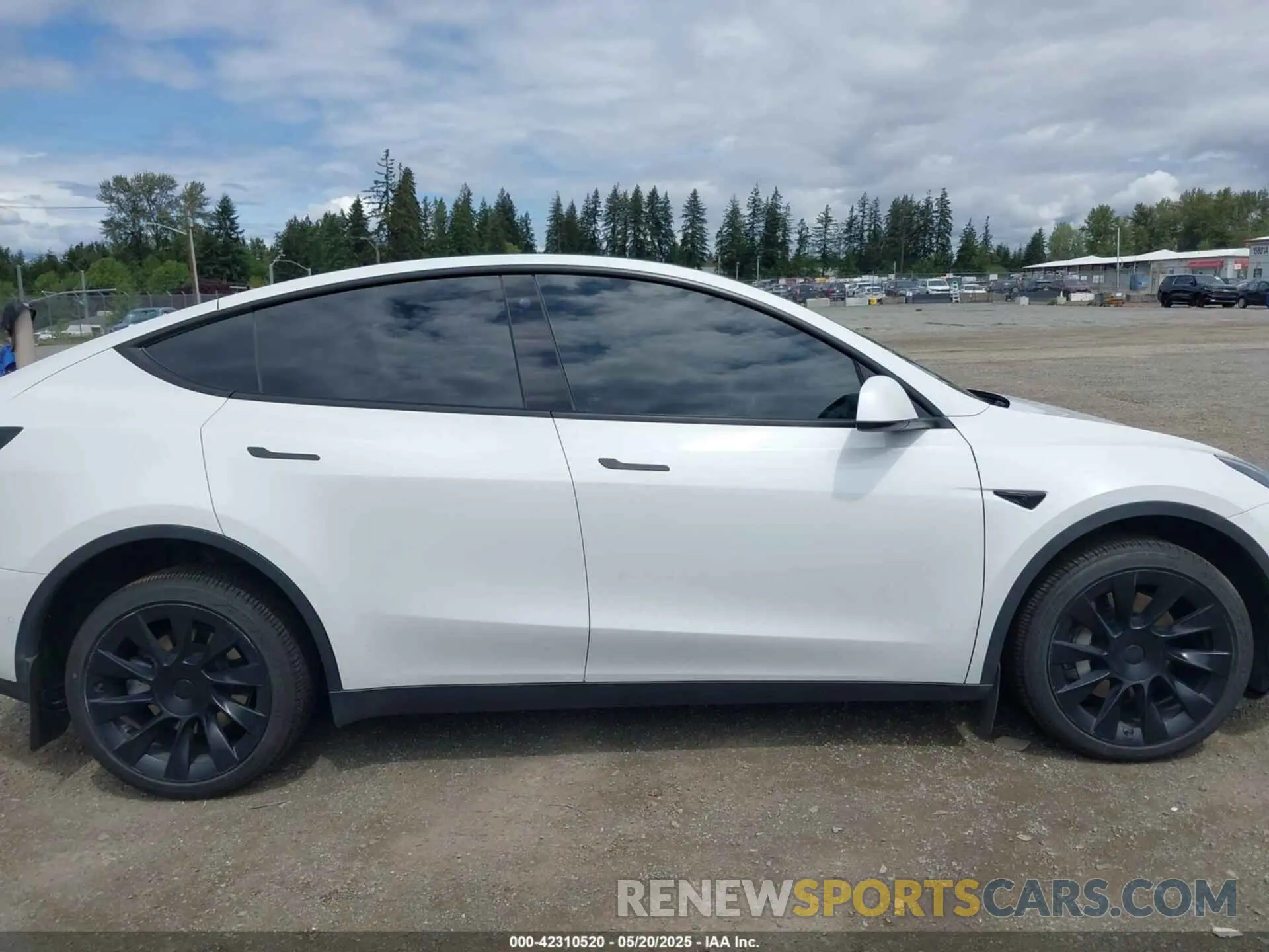 13 Photograph of a damaged car 7SAYGDEE9NF494901 TESLA MODEL Y 2022