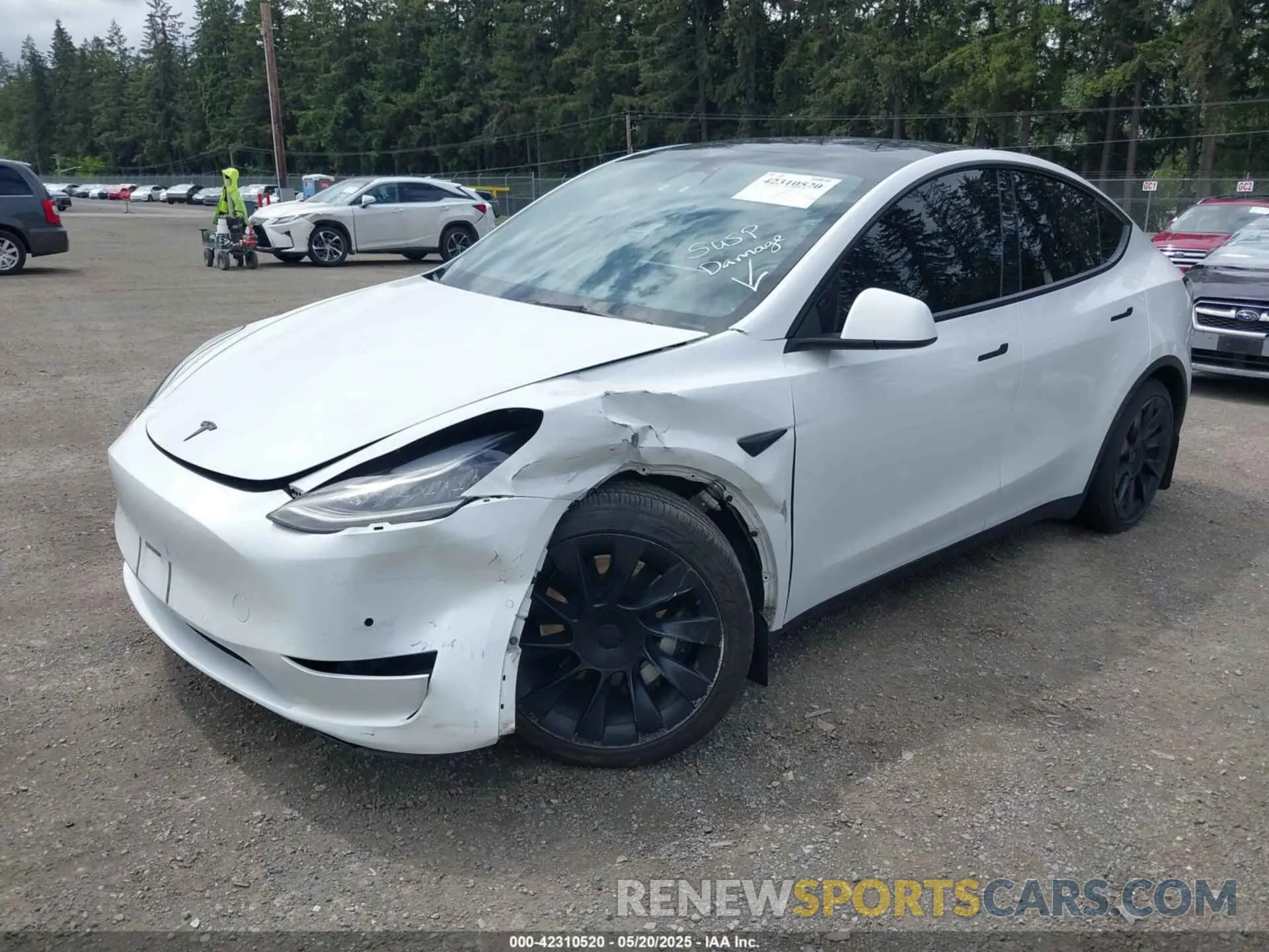 2 Photograph of a damaged car 7SAYGDEE9NF494901 TESLA MODEL Y 2022