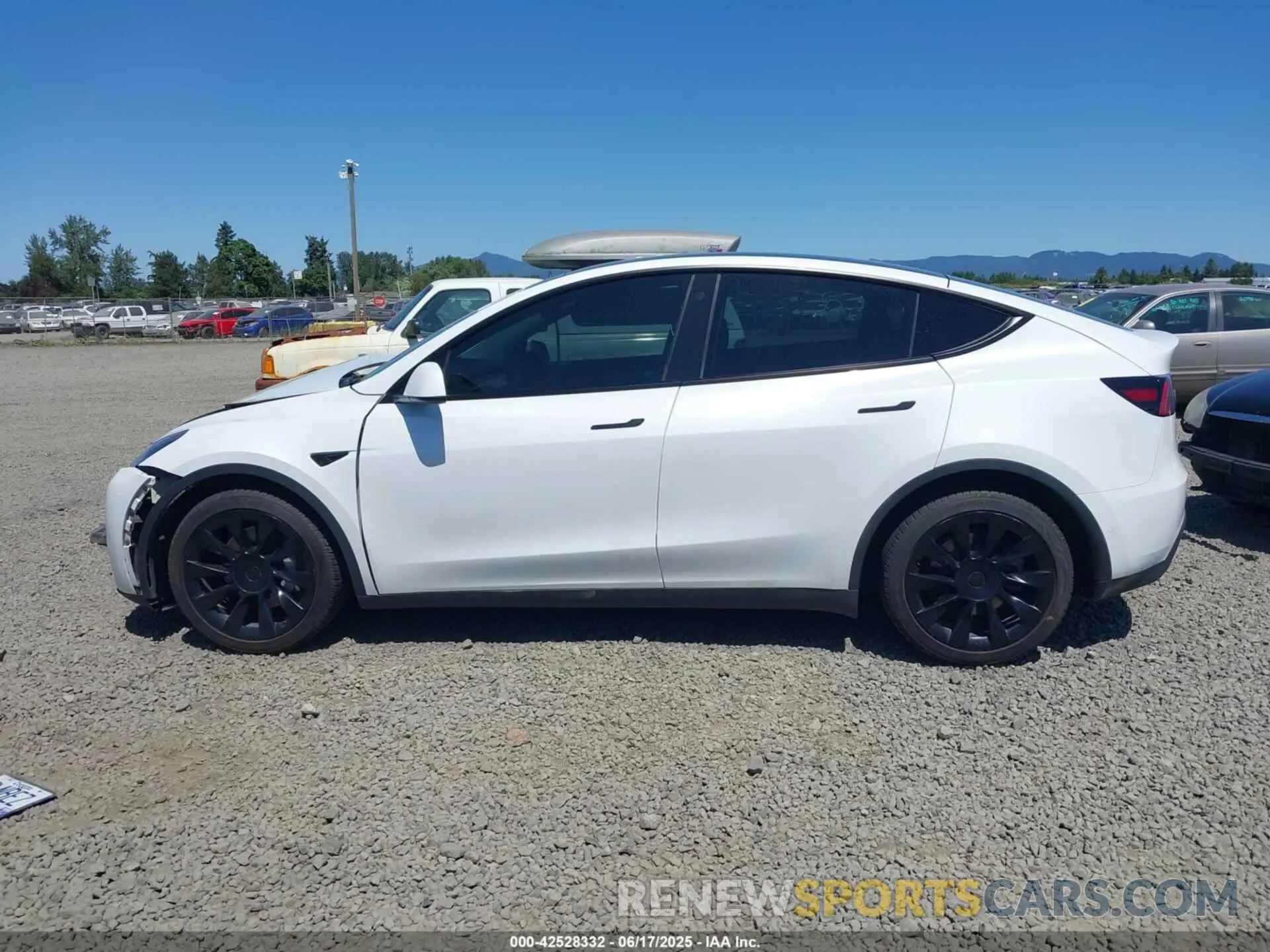 14 Photograph of a damaged car 7SAYGDEEXNF401870 TESLA MODEL Y 2022