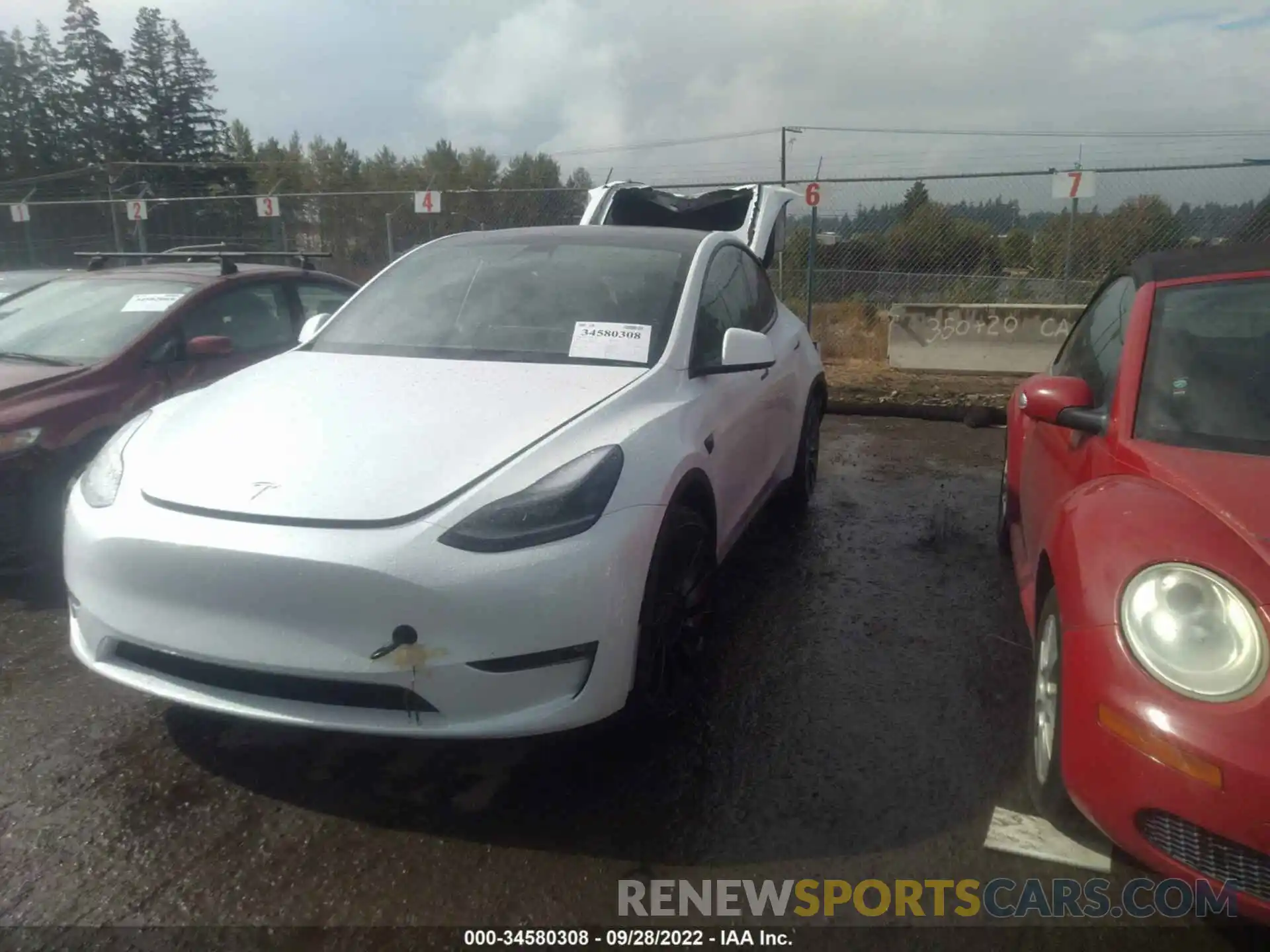 2 Photograph of a damaged car 7SAYGDEF0NF463724 TESLA MODEL Y 2022