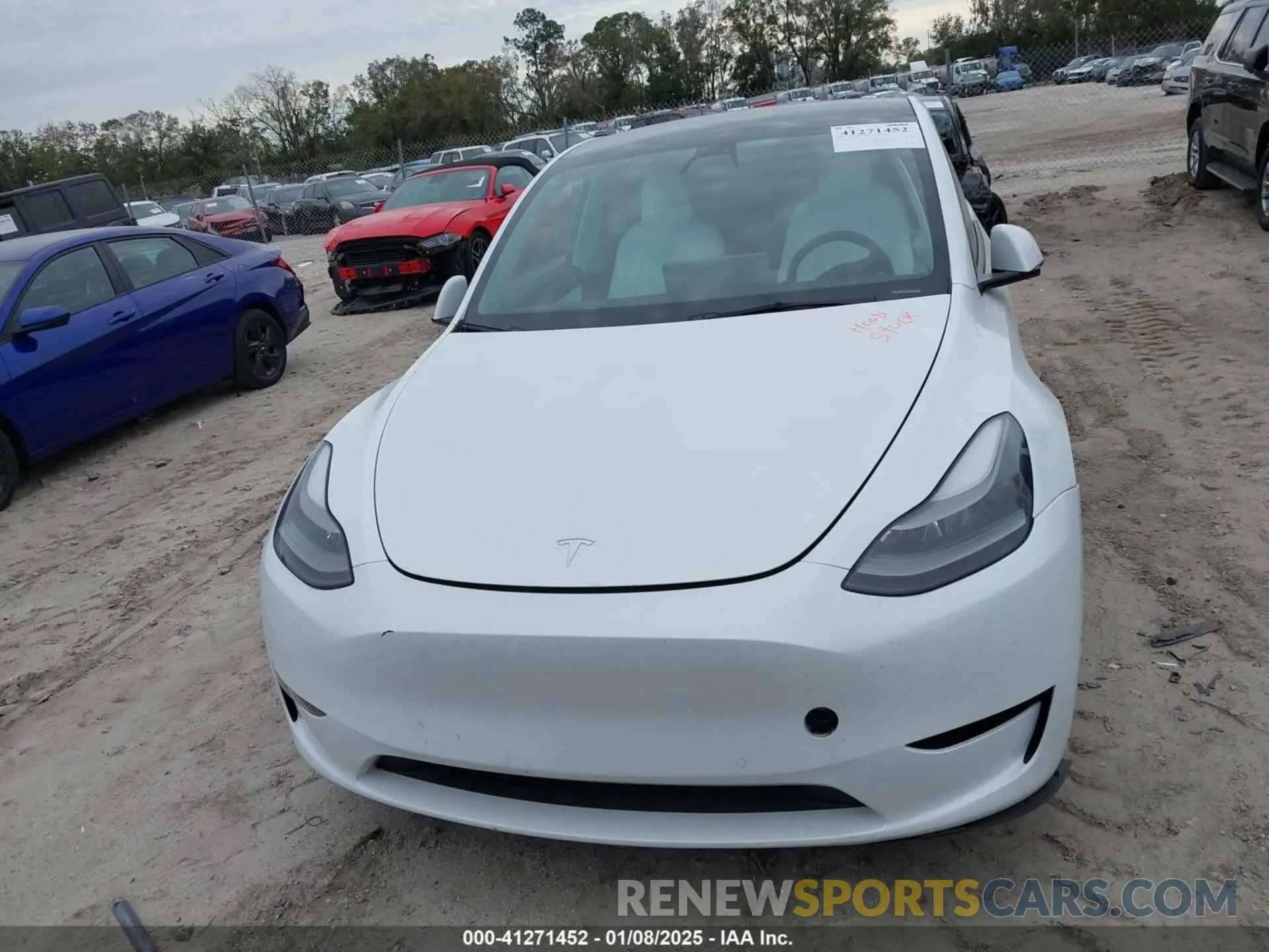 12 Photograph of a damaged car 7SAYGDEF0NF468566 TESLA MODEL Y 2022