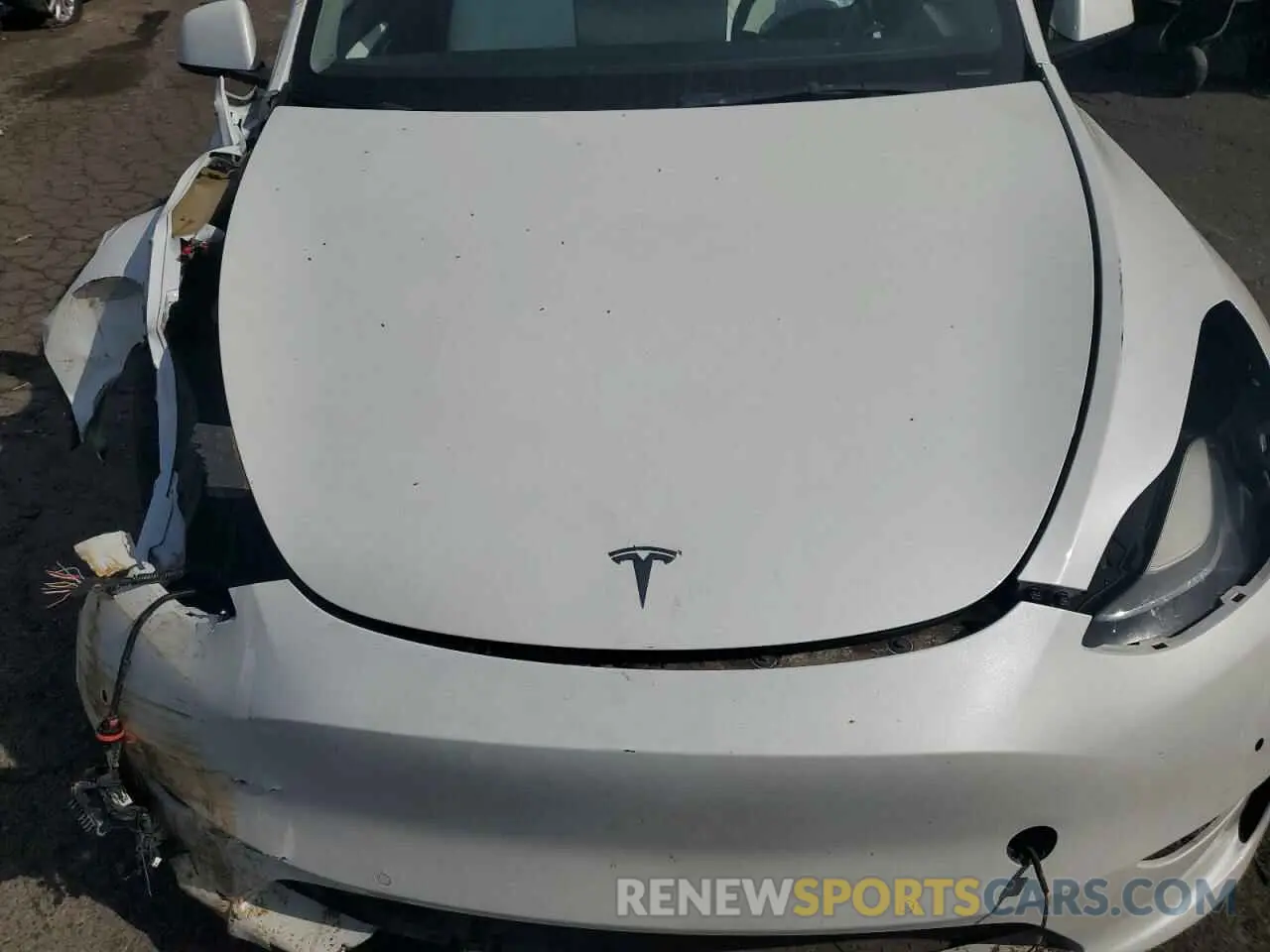 13 Photograph of a damaged car 7SAYGDEF0NF540026 TESLA MODEL Y 2022