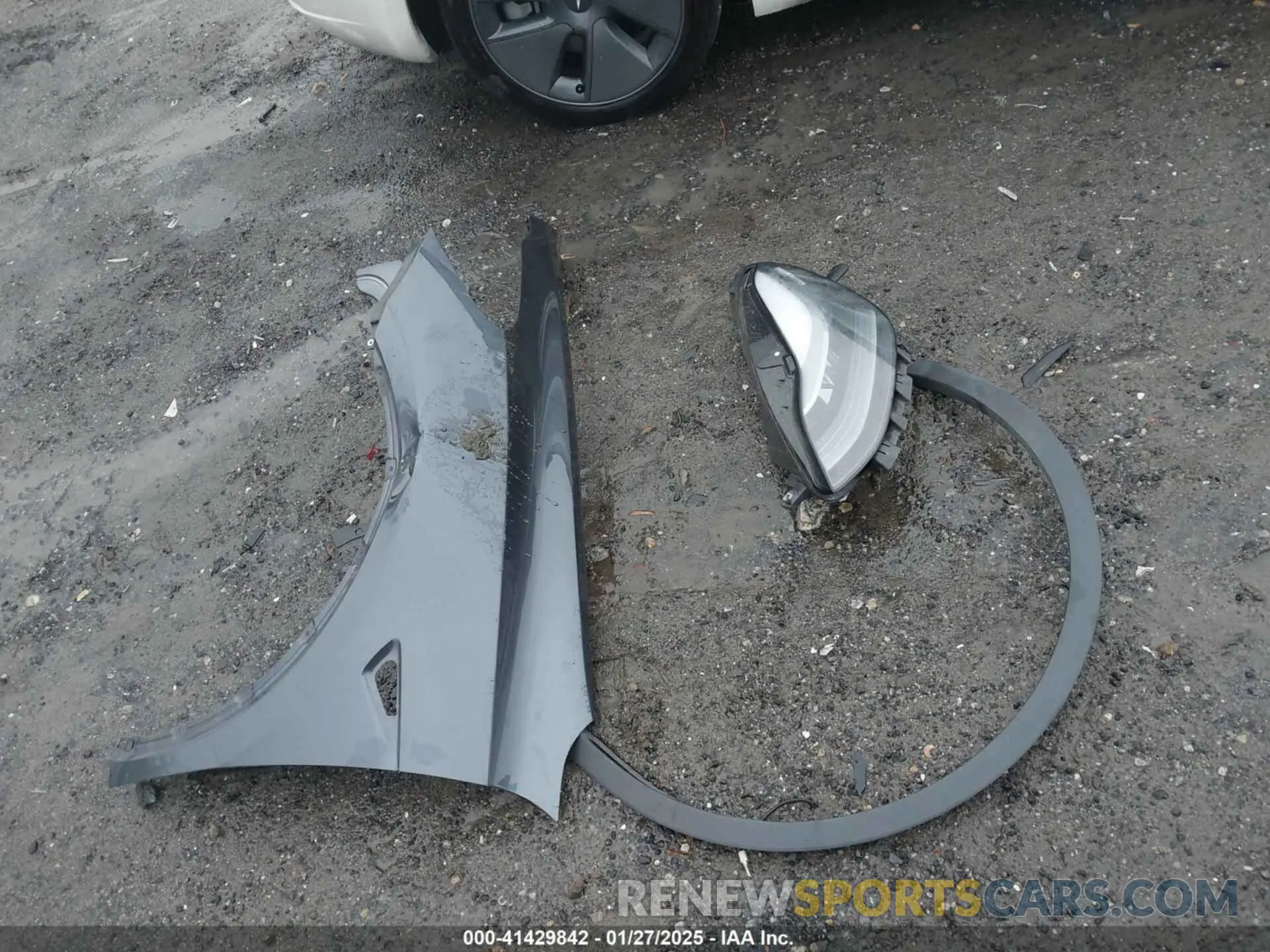 12 Photograph of a damaged car 7SAYGDEF1NF379167 TESLA MODEL Y 2022